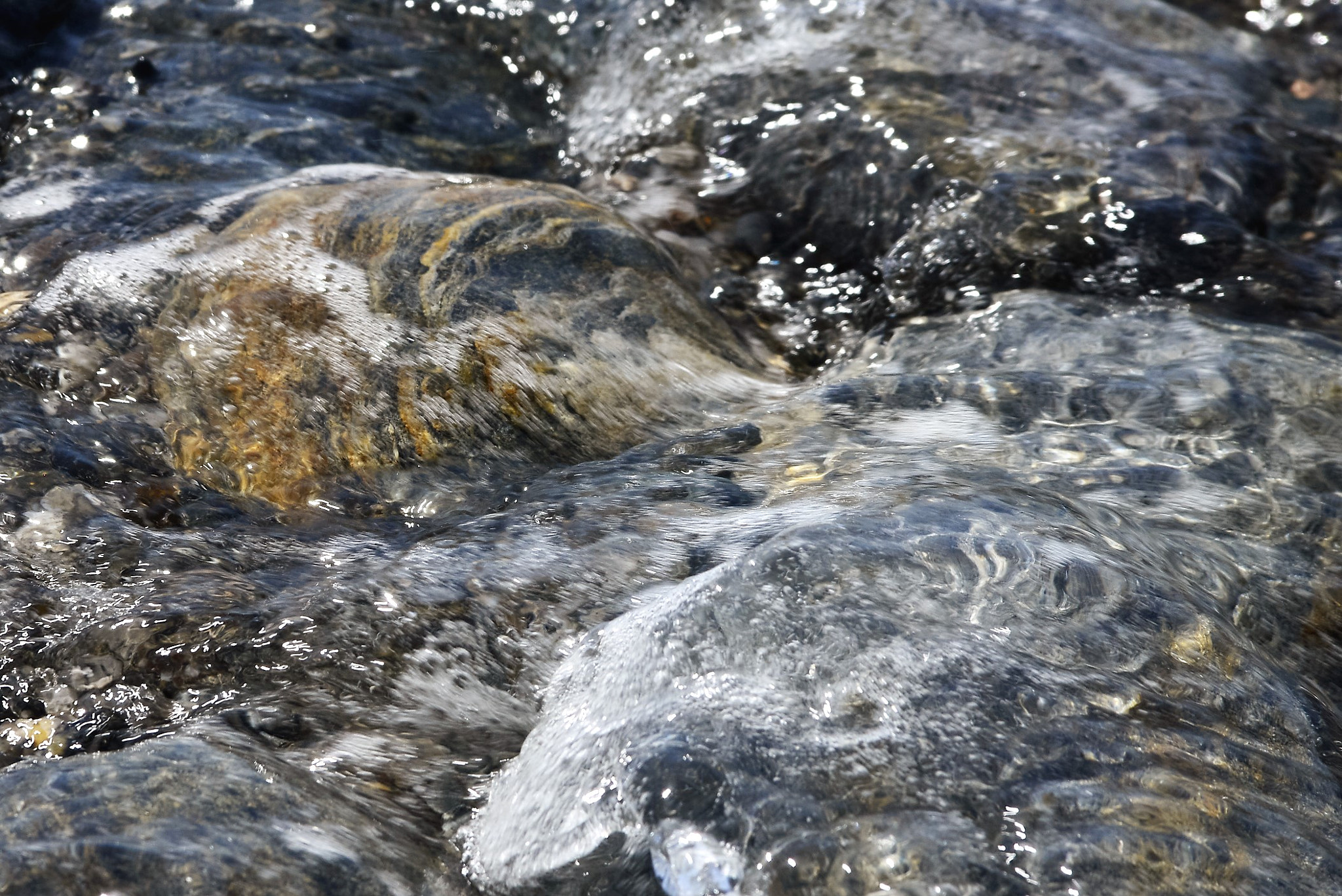Nikon D600 sample photo. V photography
