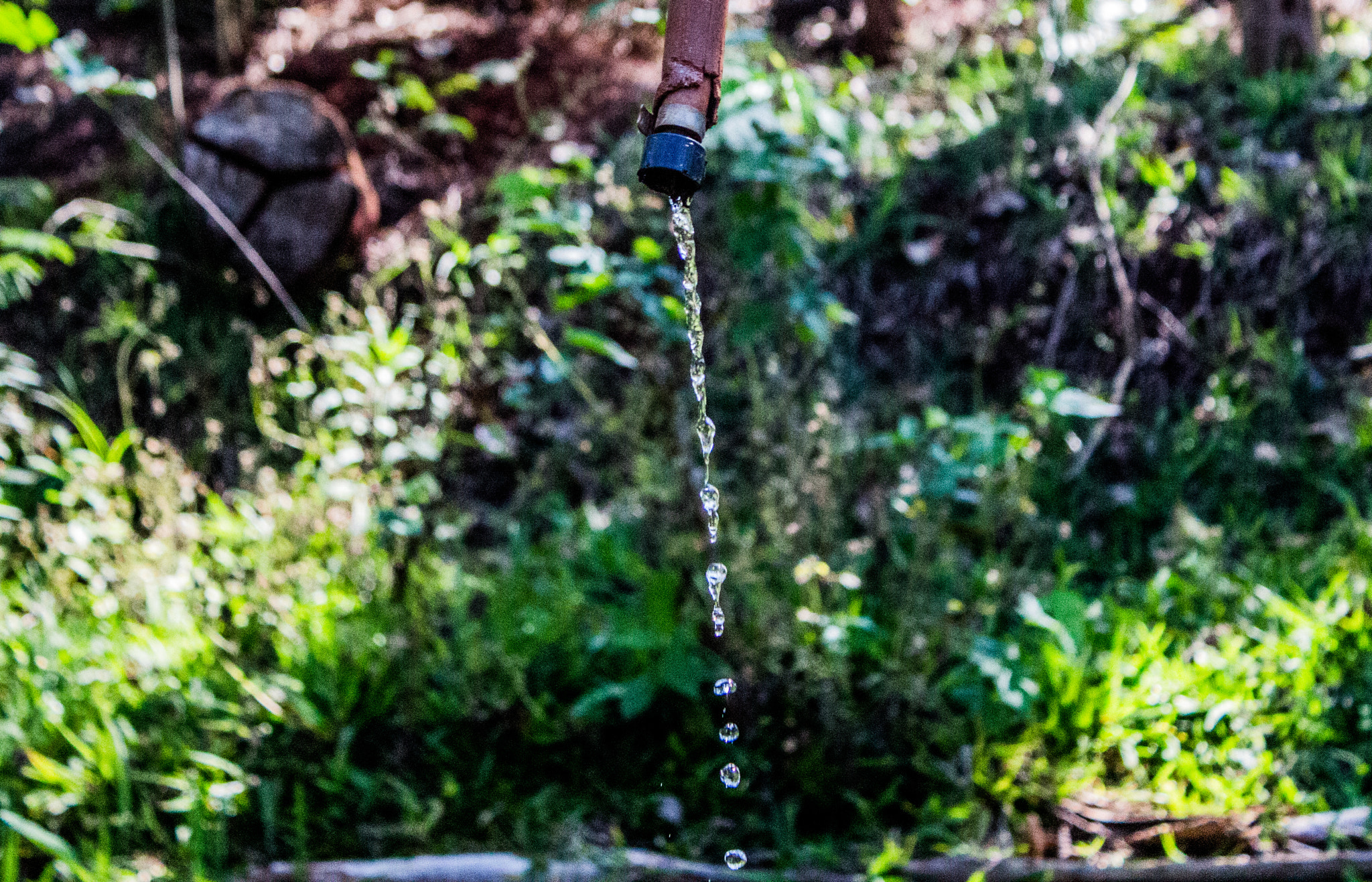 Canon EOS 700D (EOS Rebel T5i / EOS Kiss X7i) sample photo. Nature photography