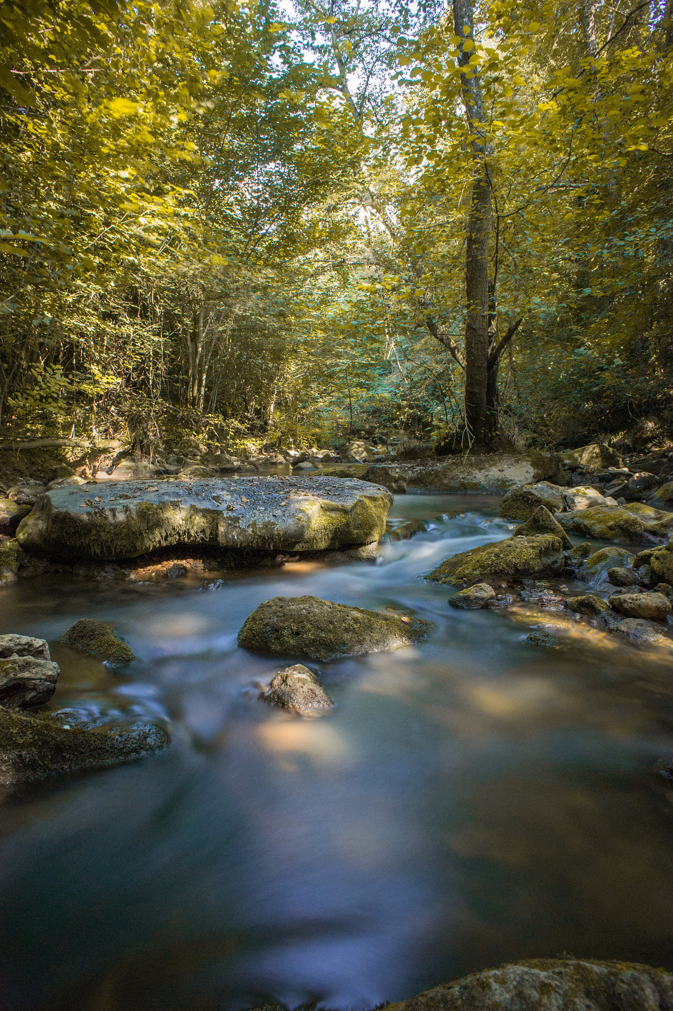 Sony Alpha NEX-5 + Sony E 16mm F2.8 sample photo. The river photography