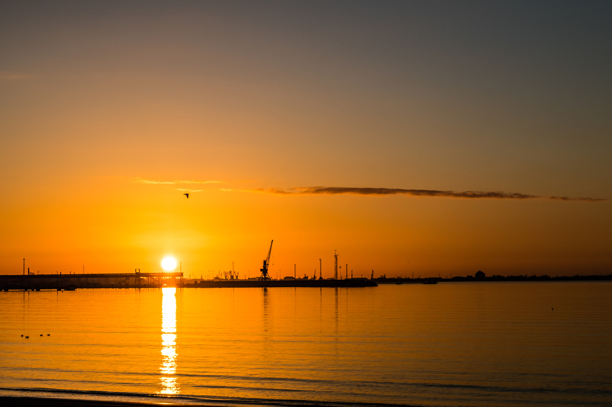 Canon EOS 80D + Sigma 24-70mm F2.8 EX DG Macro sample photo. Sunset over tallinn harbor photography