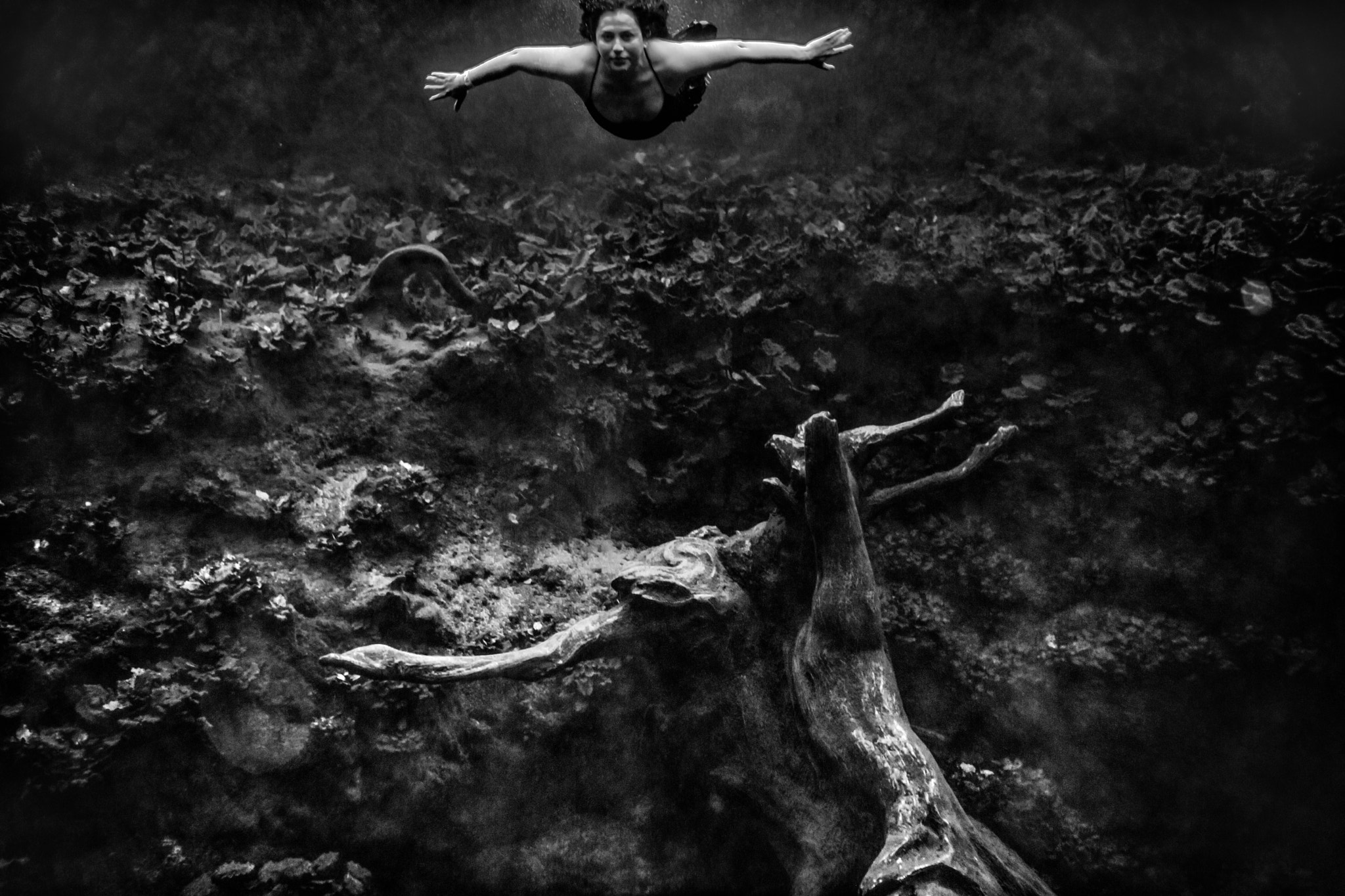 Nikon D3X + Nikon AF-S Nikkor 50mm F1.8G sample photo. Underwater tree 2 photography