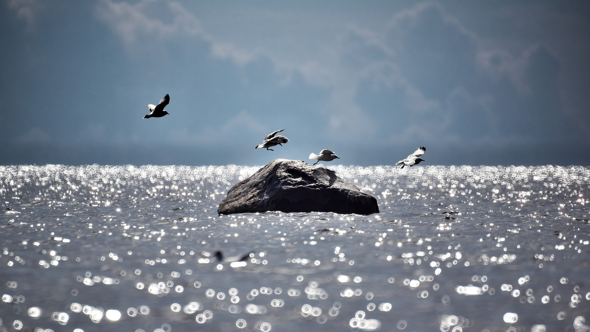 Sony 500mm F8 Reflex sample photo. Touchdown photography
