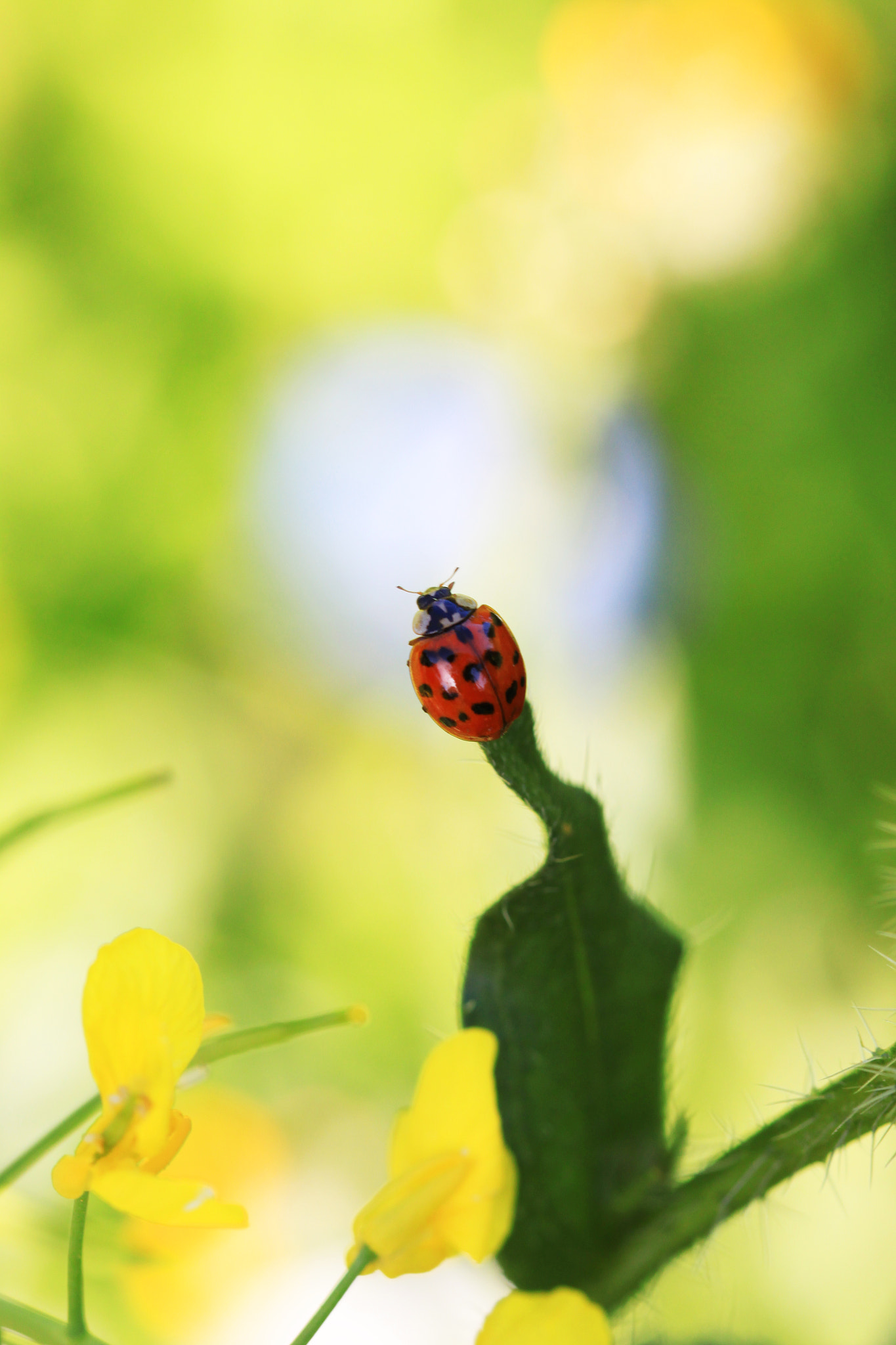 Canon EF 100mm F2.8 Macro USM sample photo. The edge photography