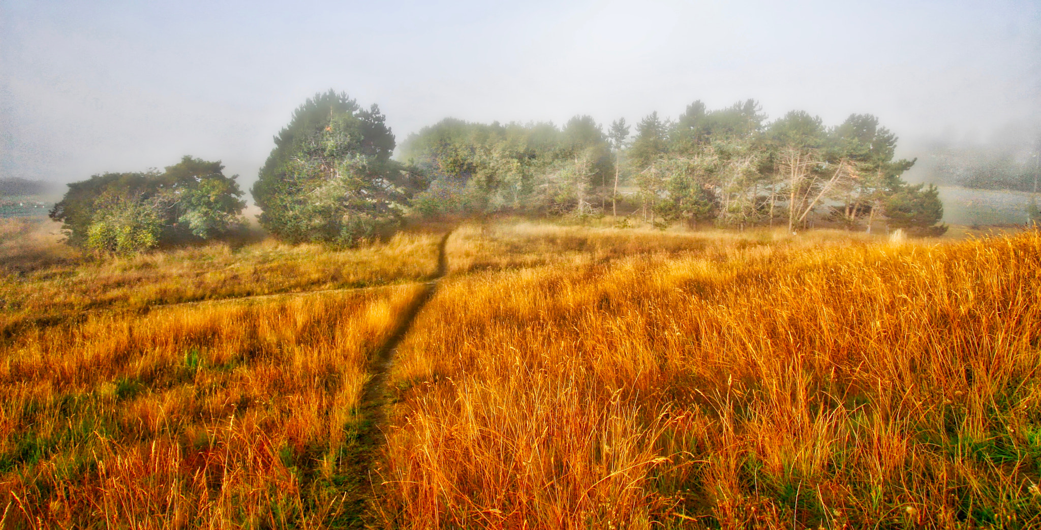 Canon EOS 30D sample photo. Morning fog photography