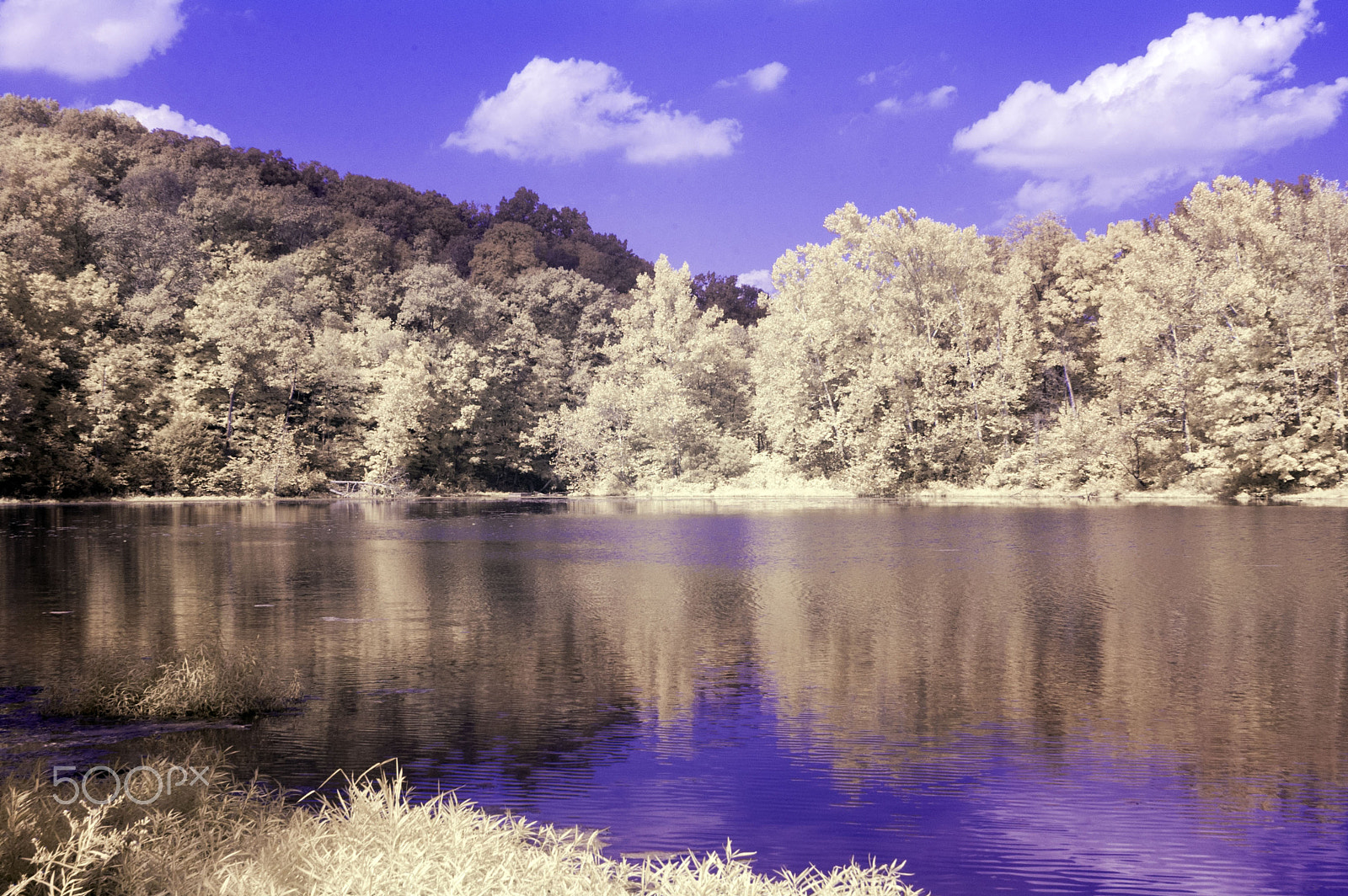 Nikon D70s sample photo. Lake photography