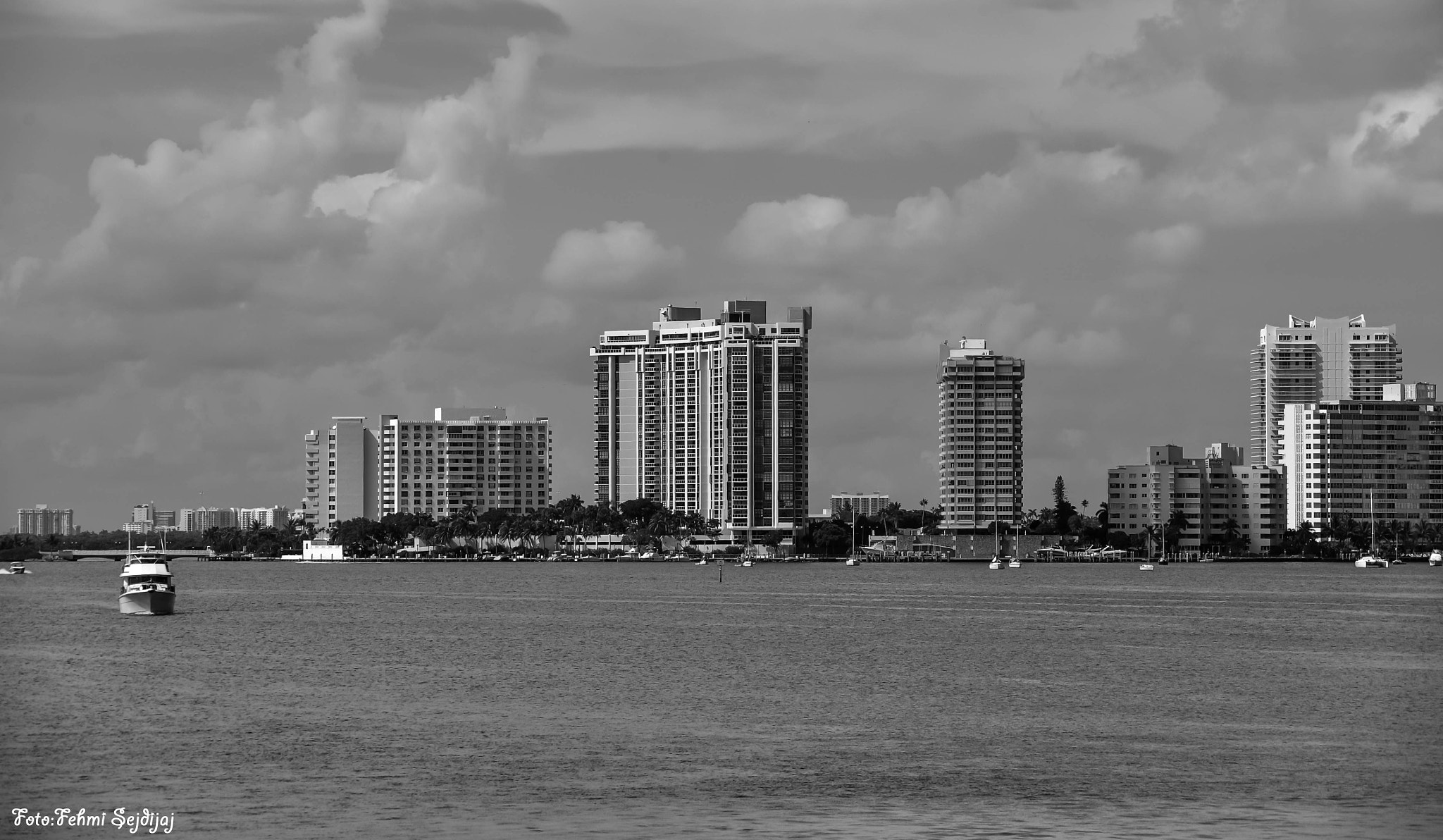 Sigma 150-500mm F5-6.3 DG OS HSM sample photo. Miami photography