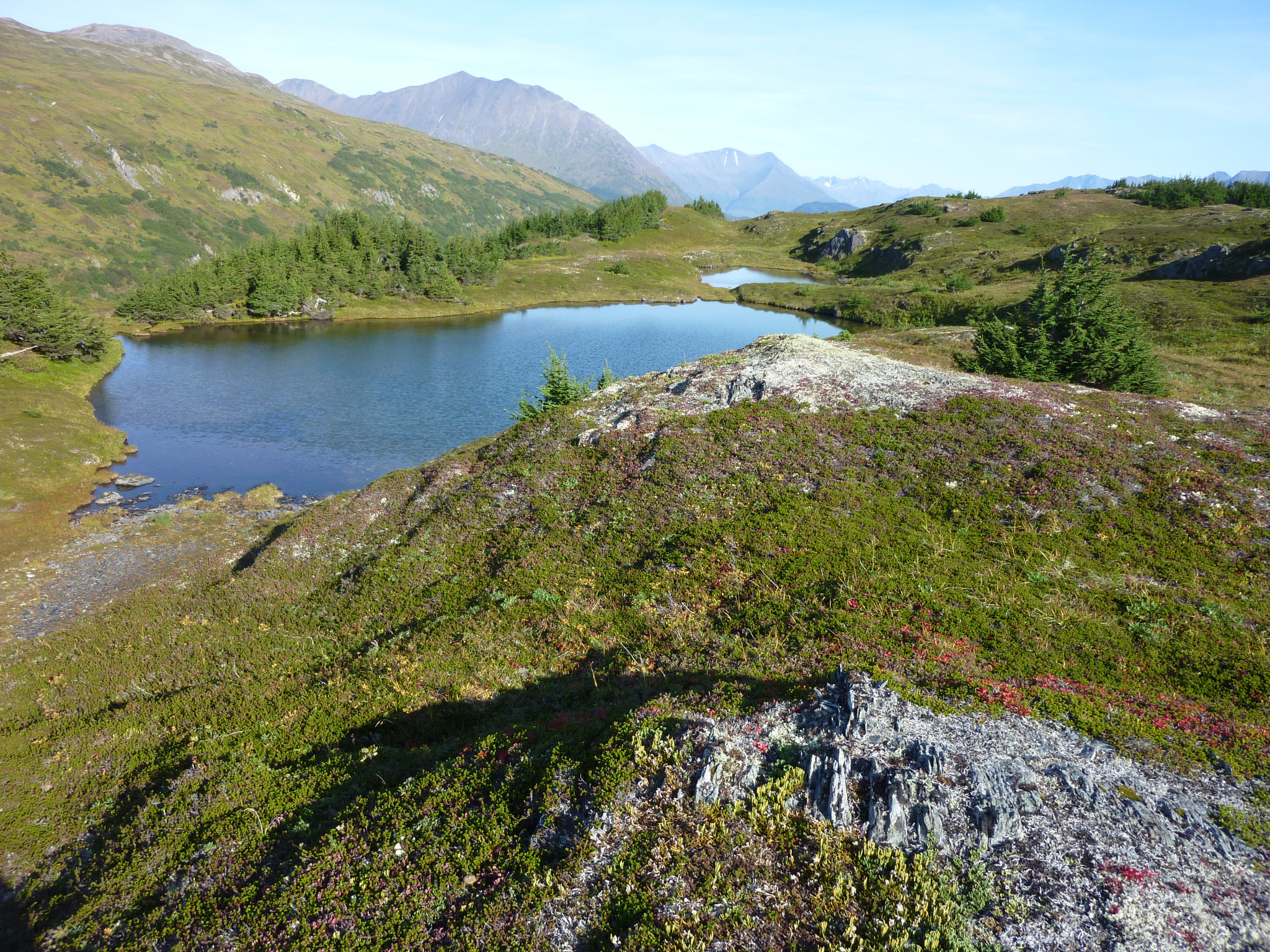 Panasonic DMC-ZR1 sample photo. Lost lake trail, alaska photography