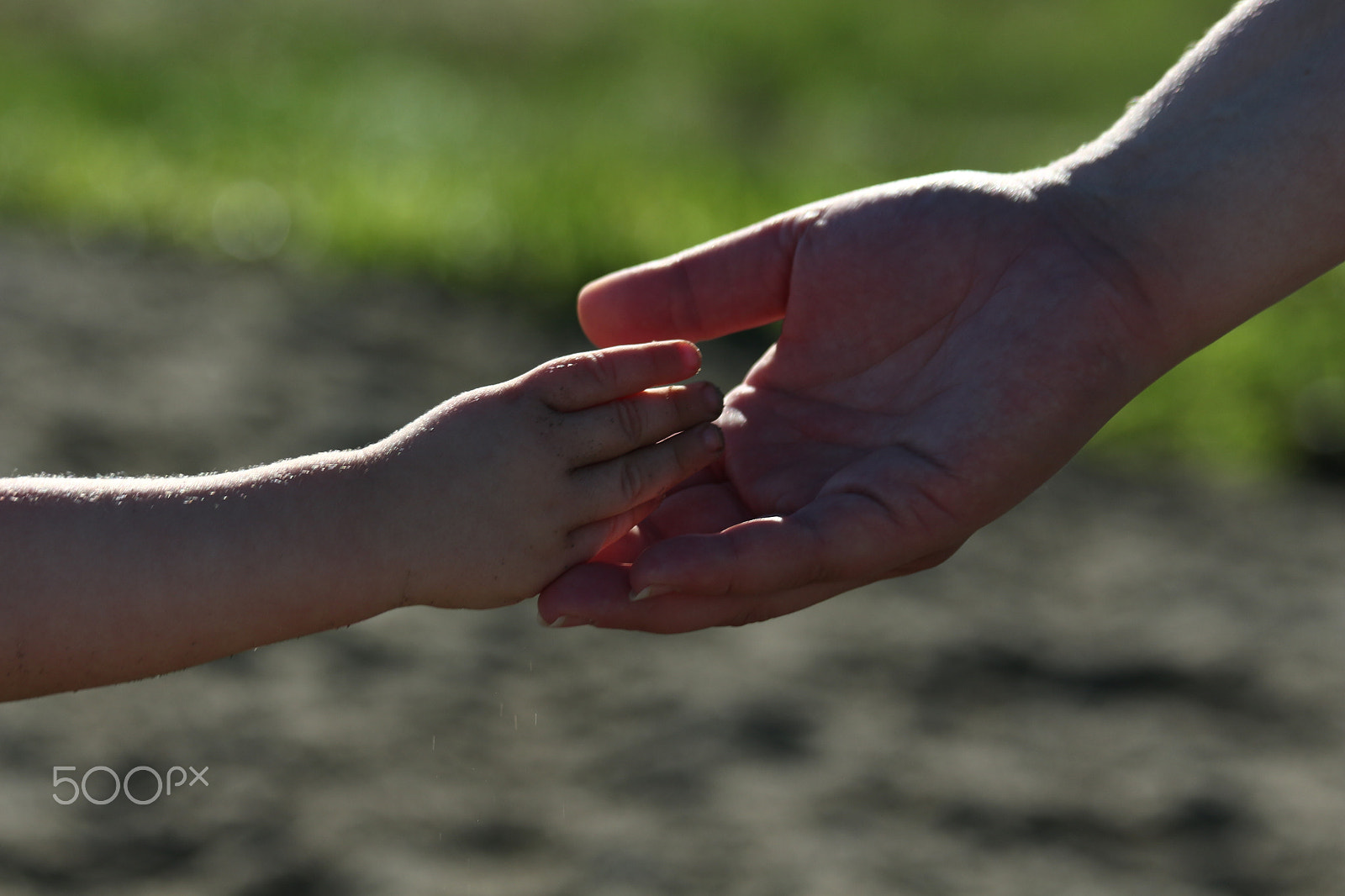 Canon EF 70-300mm F4-5.6 IS USM sample photo. Loving hands photography