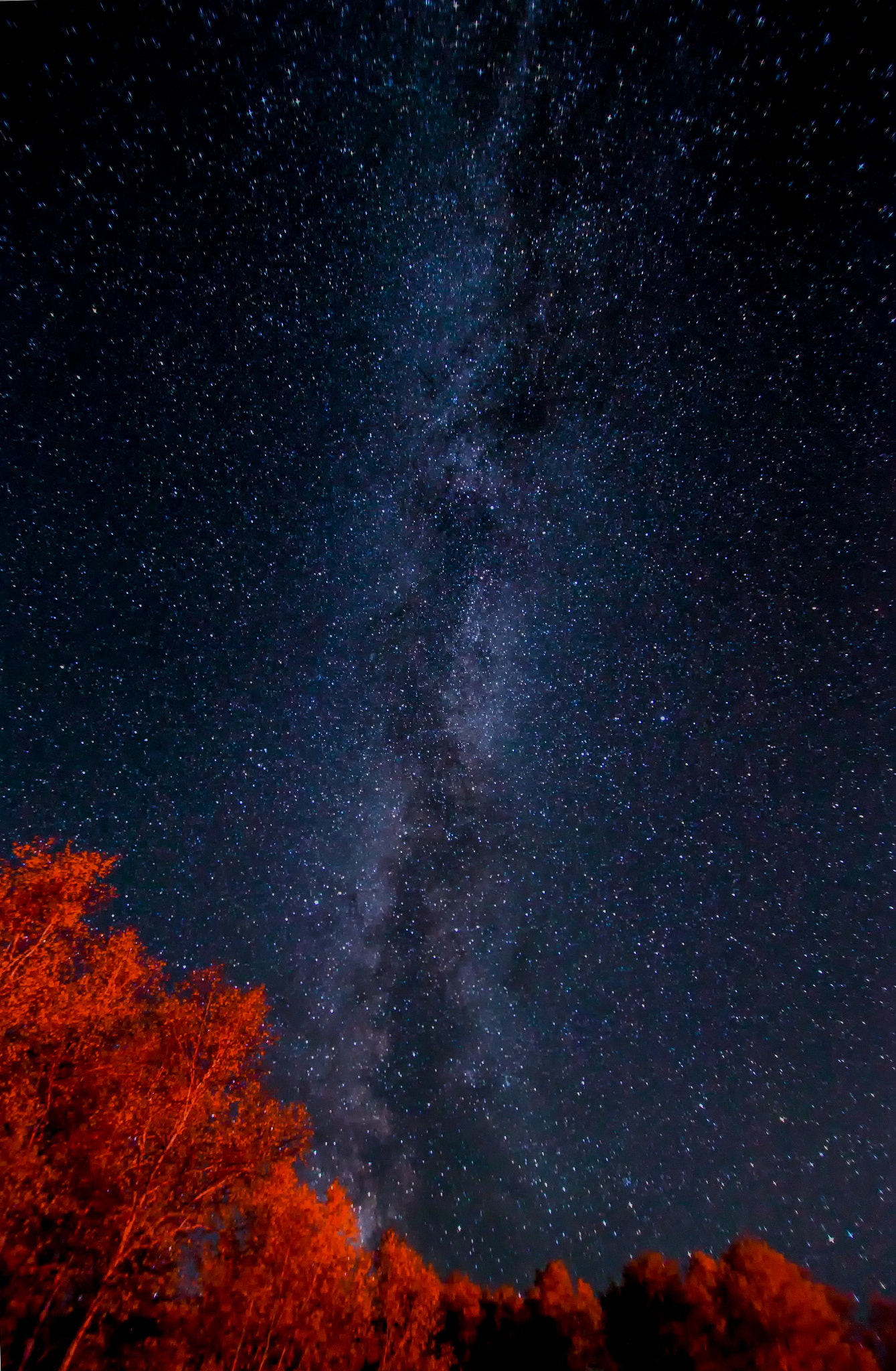 Canon EOS 5D Mark II + Tokina AT-X Pro 11-16mm F2.8 DX sample photo. Galaxy on fire photography