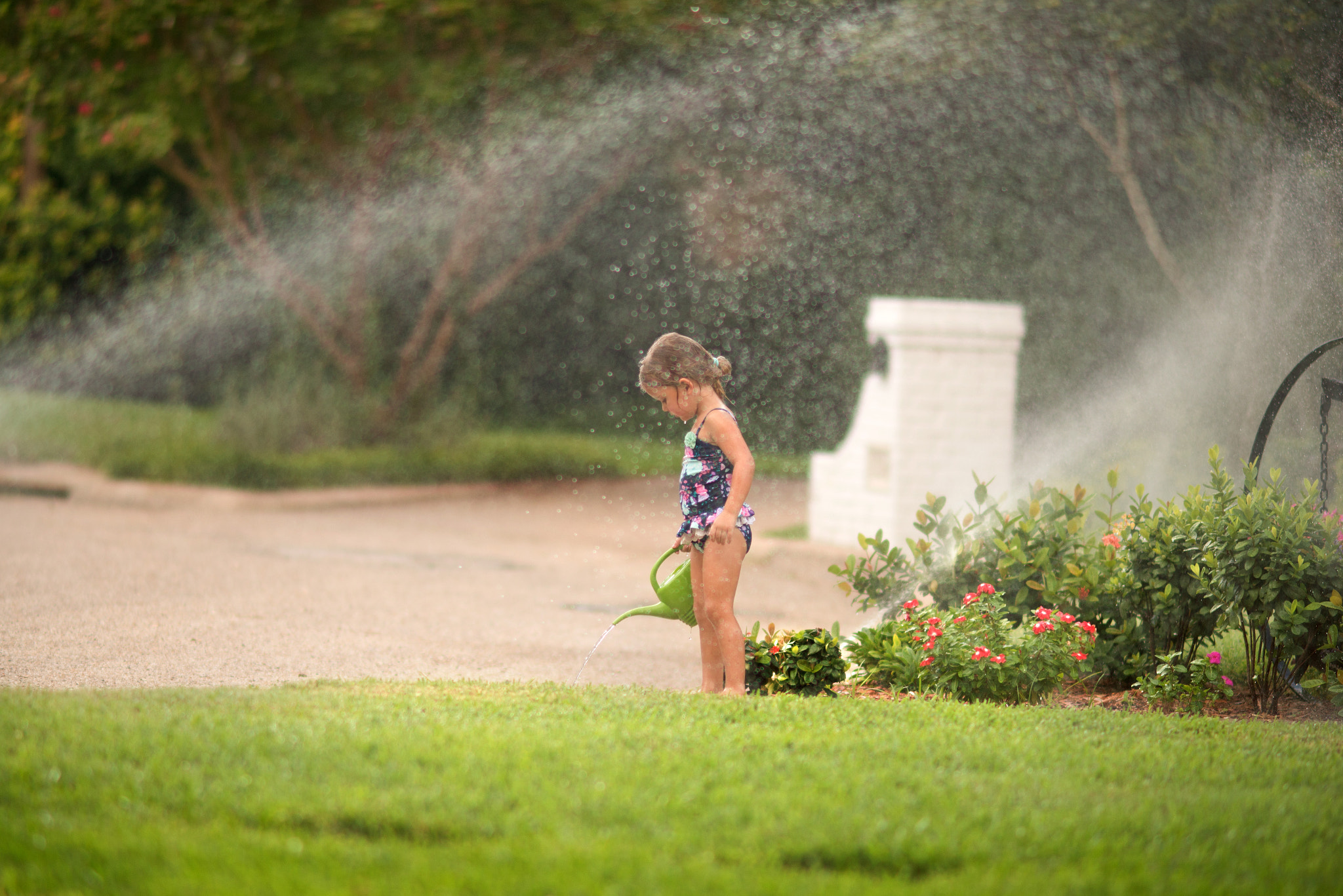 Nikon D610 + AF DC-Nikkor 135mm f/2D sample photo. Watering the yard photography