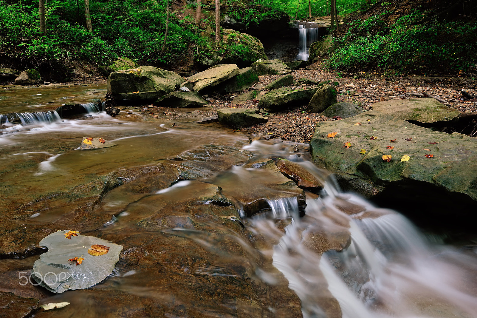 Nikon D3X sample photo. Spring creek flow photography