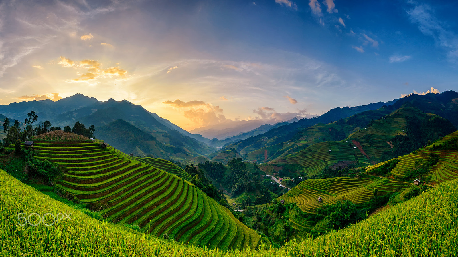 Nikon AF-S Nikkor 17-35mm F2.8D ED-IF sample photo. Rice fields on terraced in muchangchai, vietnam rice fields prep photography