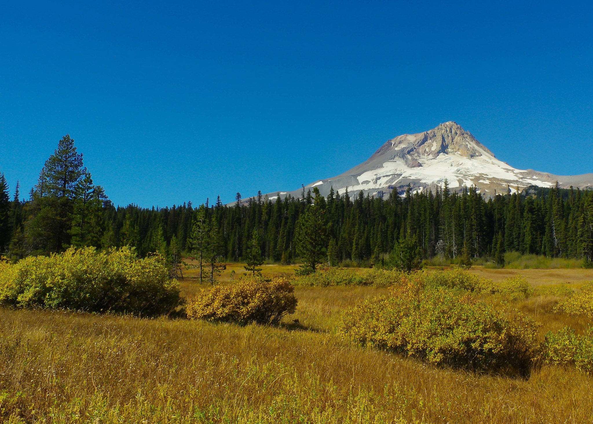 Pentax smc DA 21mm F3.2 AL Limited sample photo. Mt hood from elk meadow photography