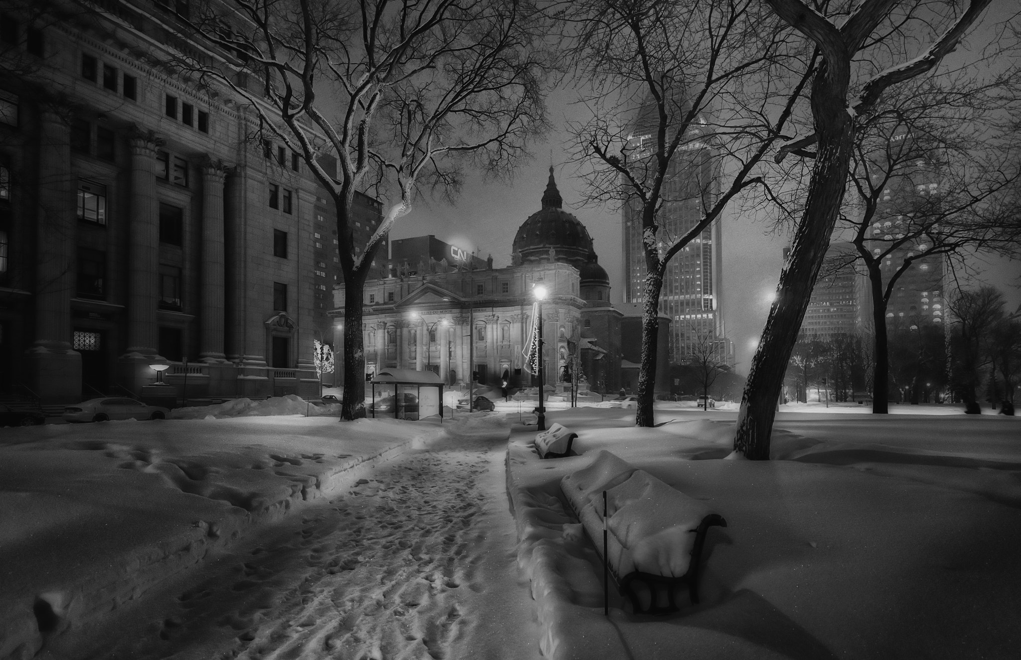 Nikon D3S sample photo. Montreal after the great snow storm of dec 2012 photography