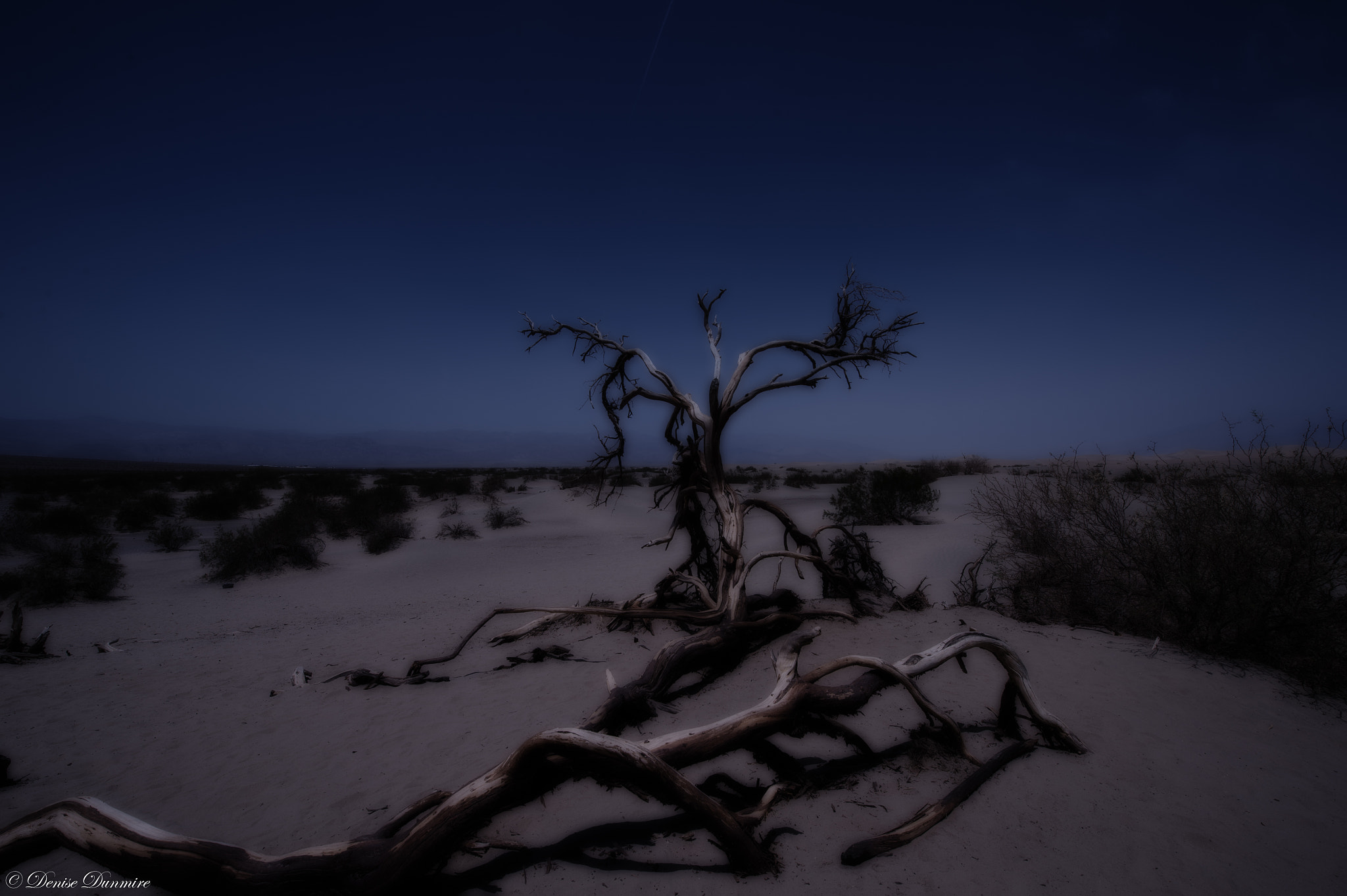 Nikon Df sample photo. Death crawl photography