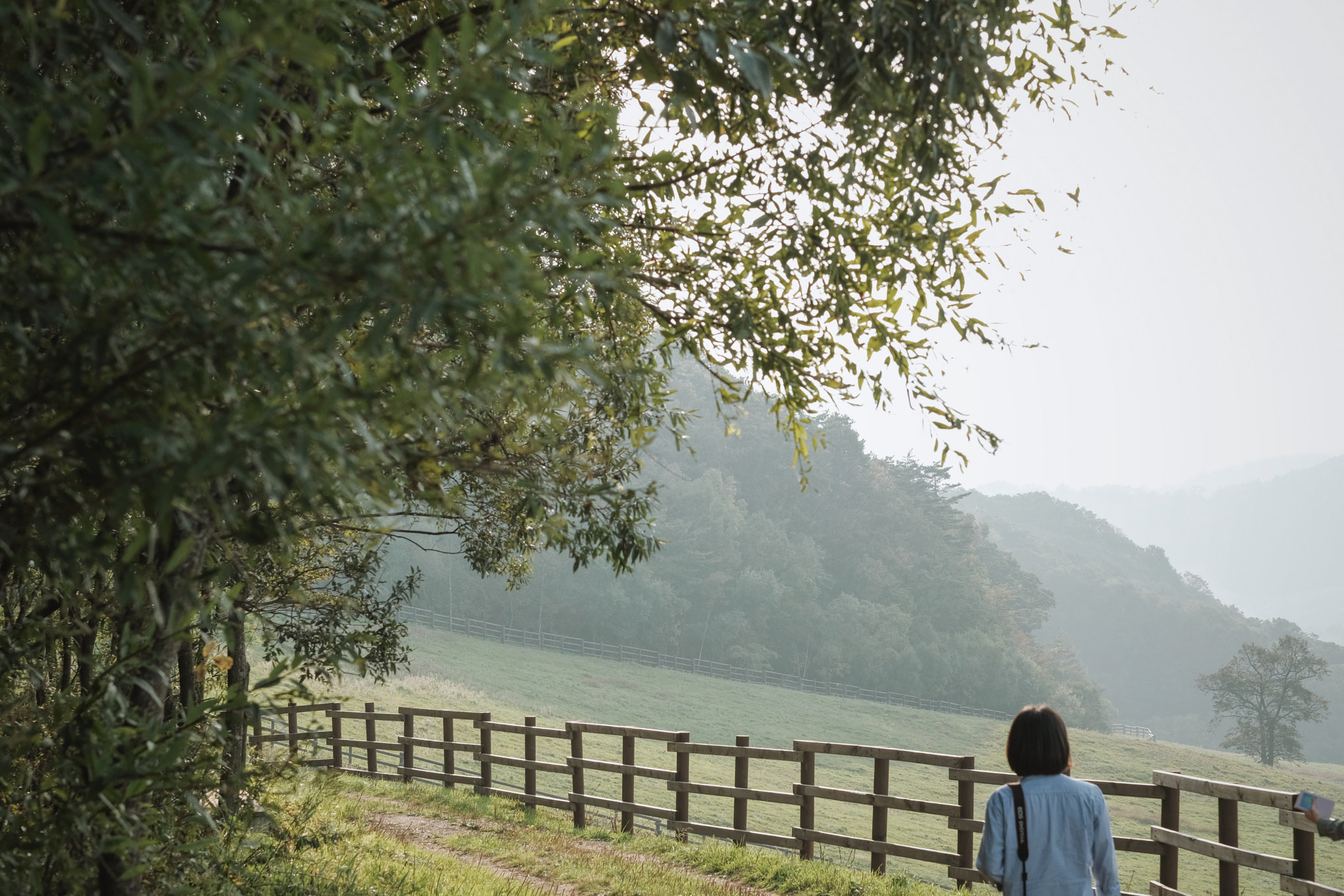 Fujifilm X-Pro2 + Fujifilm XF 56mm F1.2 R APD sample photo. Untitled photography