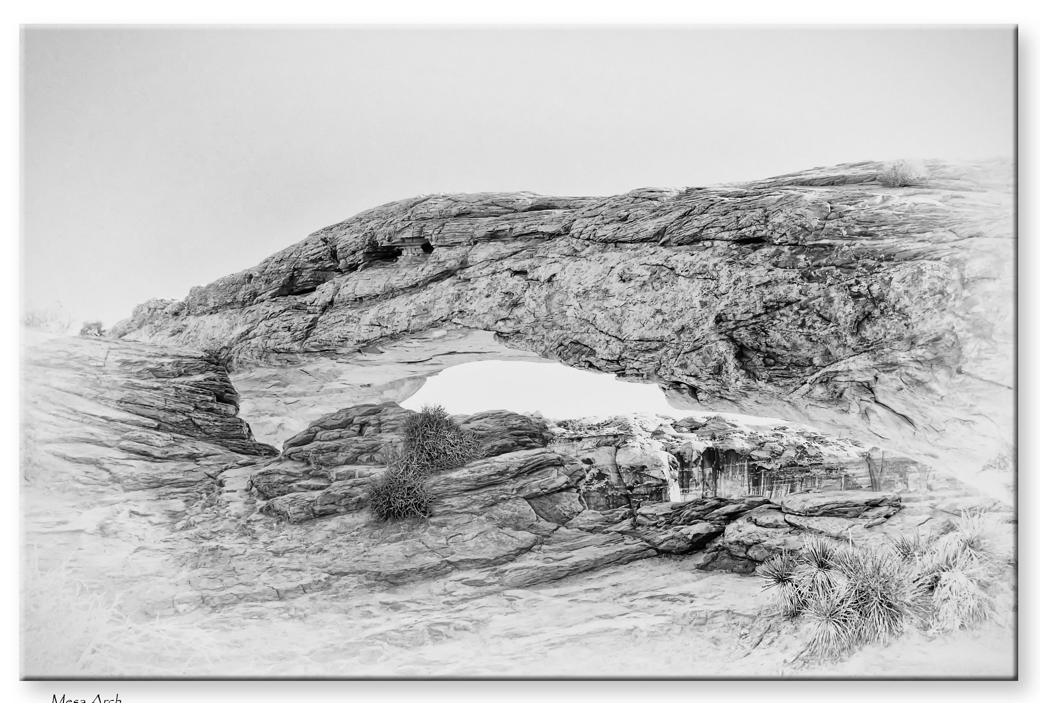 Nikon D300 sample photo. Mesa arch - another view photography