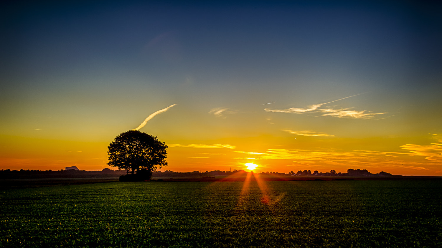 Canon EOS-1D Mark IV sample photo. Sonnenaufgang lüttenglehn  photography