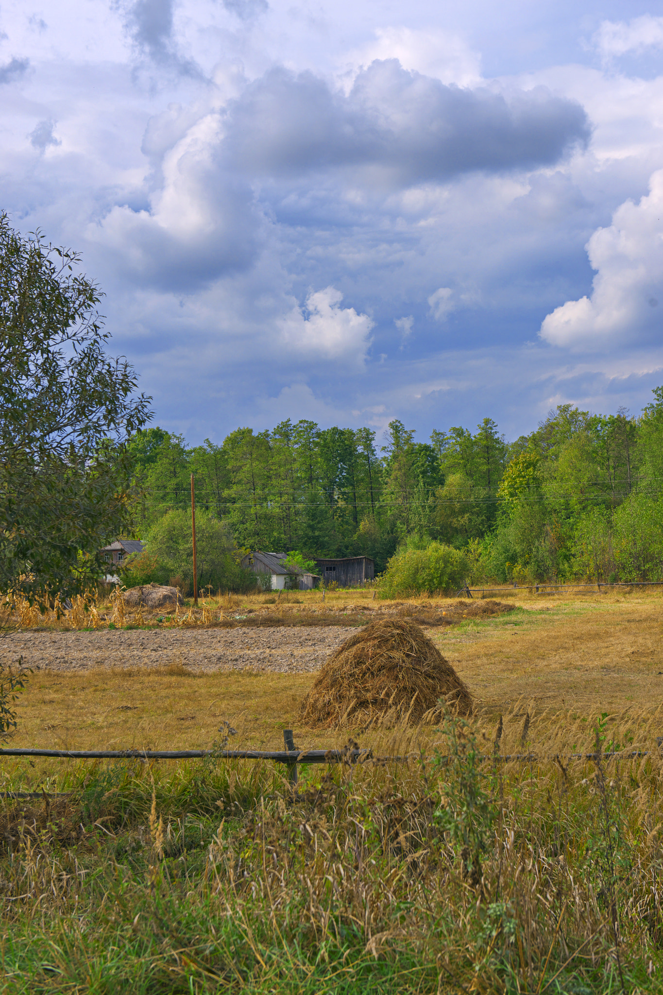 Nikon D800E + 24-70mm F/2.8 G sample photo. Autumn in the village photography