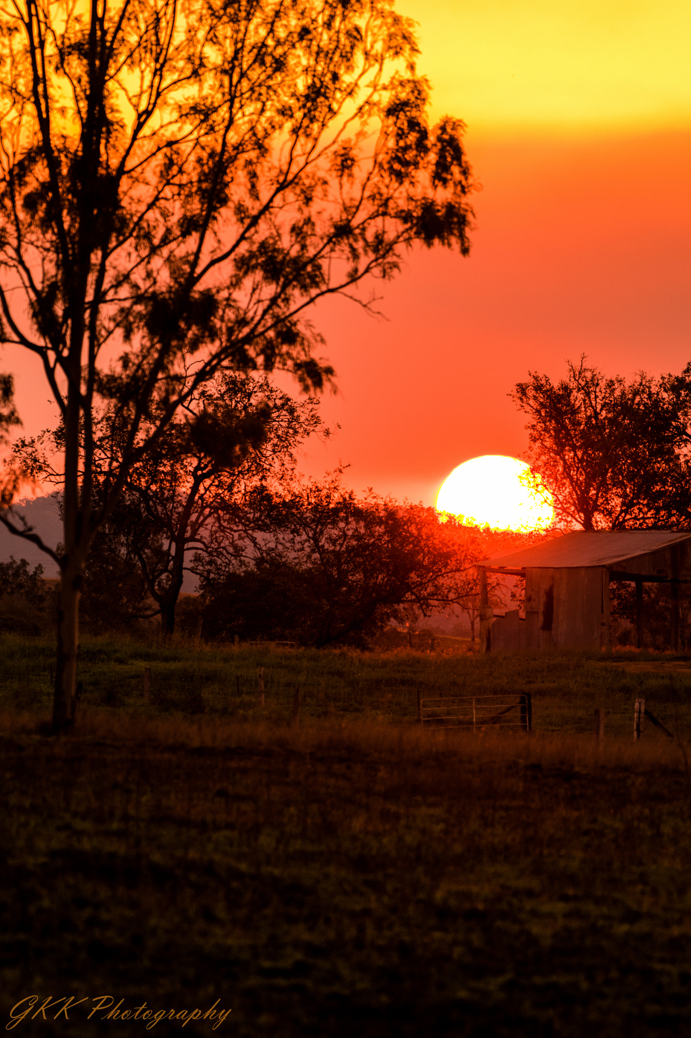 Nikon AF-S Nikkor 200-500mm F5.6E ED VR sample photo. Red sun at night photography