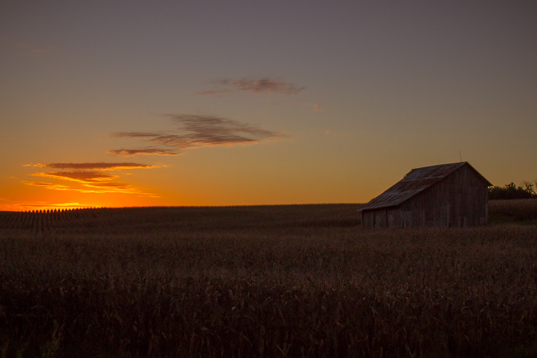 Sigma 18-250mm F3.5-6.3 DC OS HSM sample photo. Harvest sunset photography