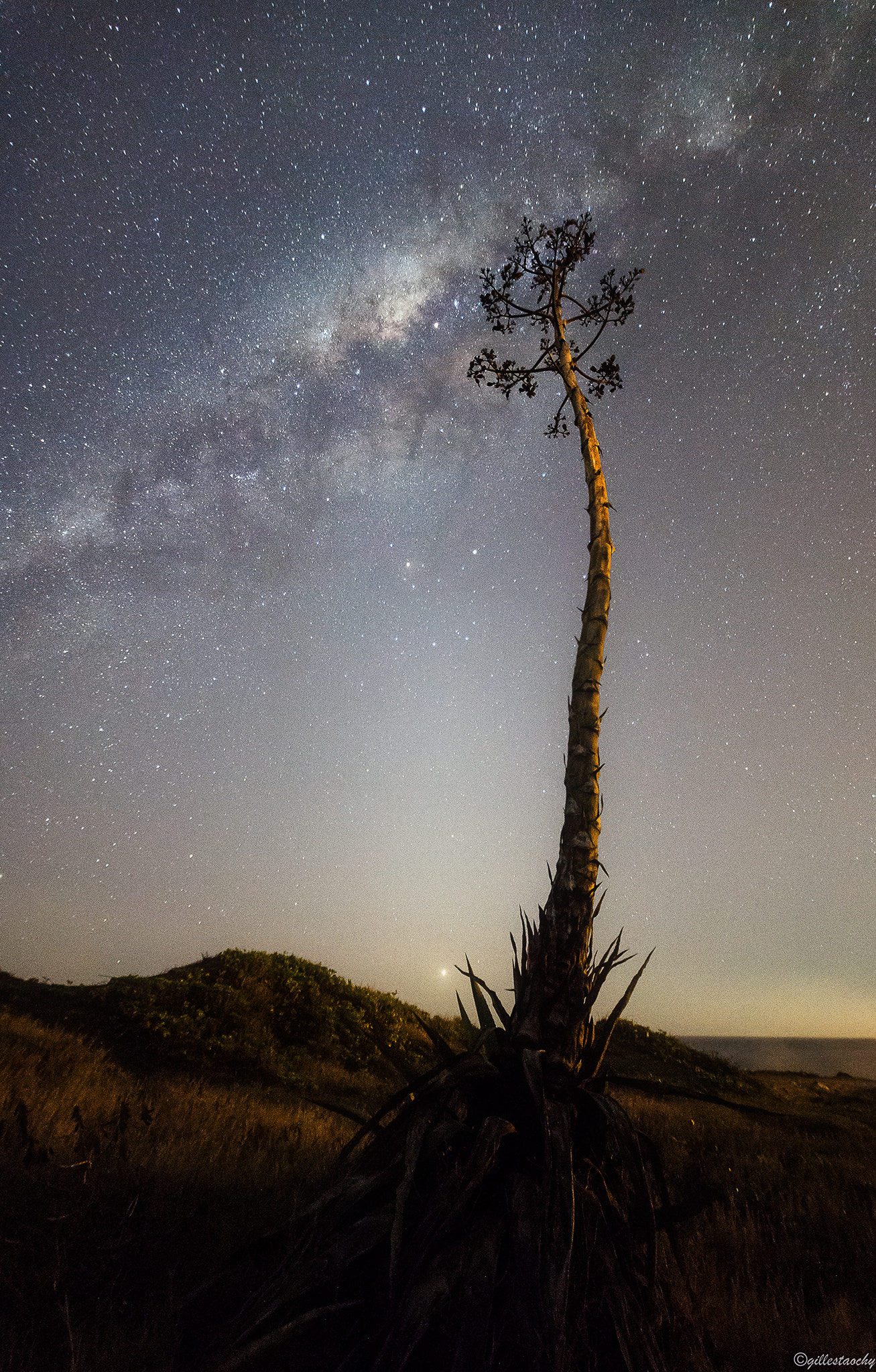 Samyang 14mm F2.8 ED AS IF UMC sample photo. Among the stars photography