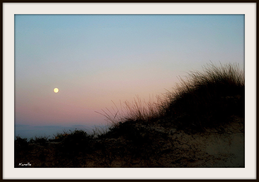 Sigma 18-125mm f/3.5-5.6 DC IF ASP sample photo. Dune photography