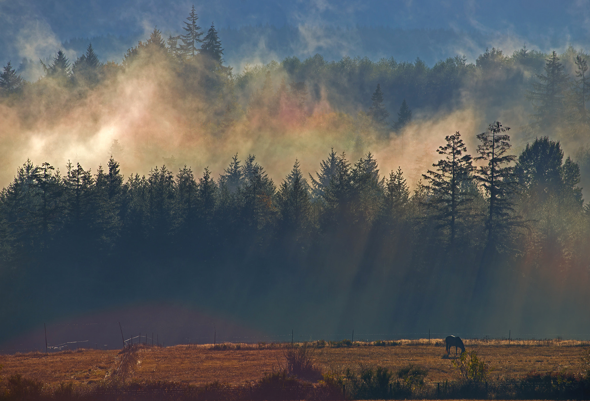 Nikon D800 sample photo. Fog bows photography