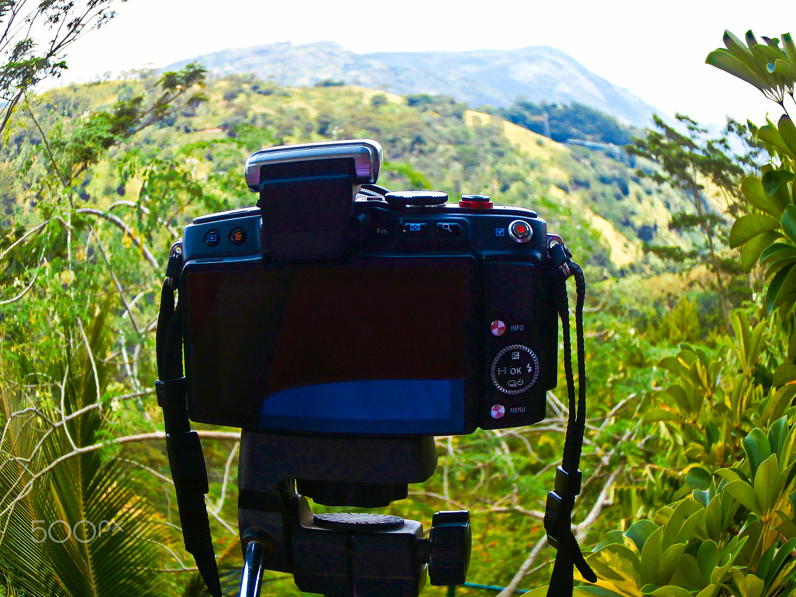 Olympus VR340,D750 sample photo. Nature s view photography