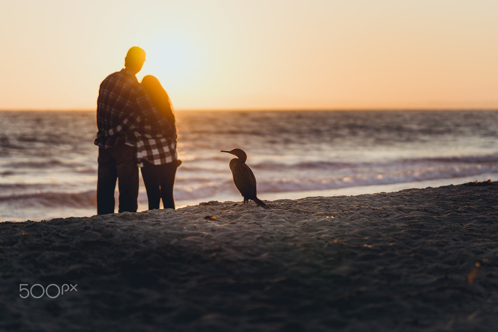 Sony a6000 + ZEISS Batis 85mm F1.8 sample photo. Wandering couples photography