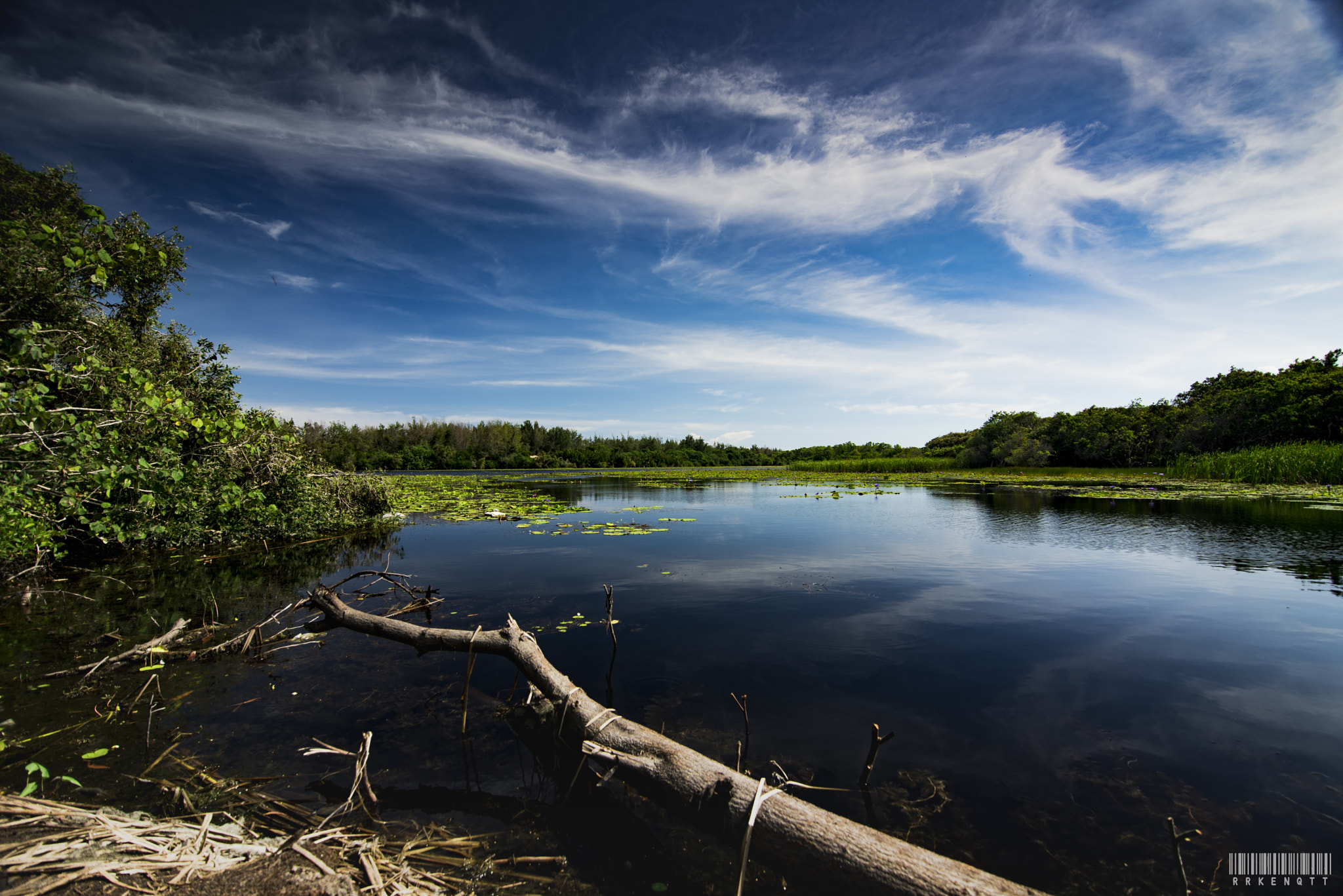 Tokina AT-X Pro 11-16mm F2.8 DX sample photo. Quiet photography