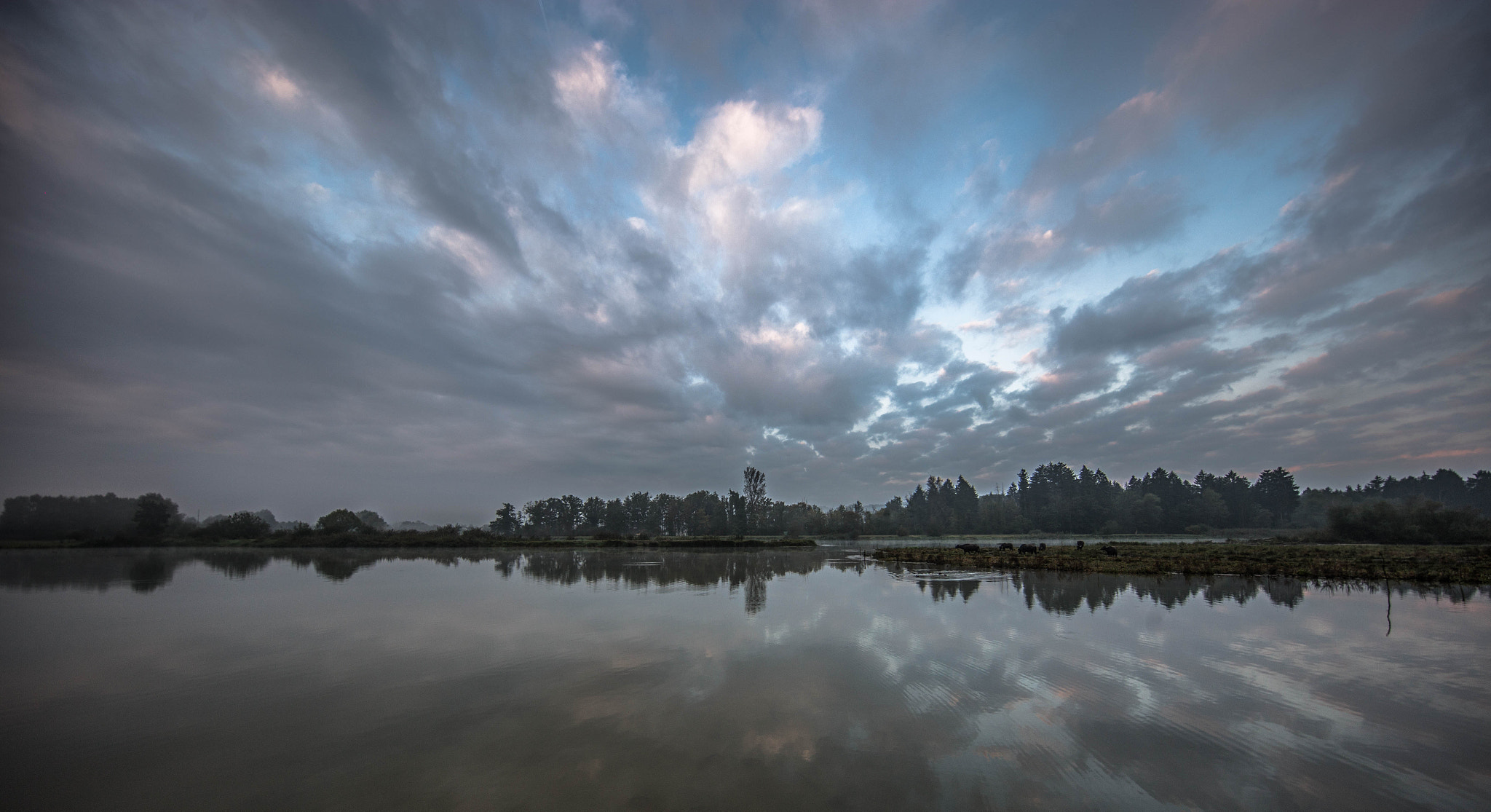 Canon EOS 6D + Canon EF 11-24mm F4L USM sample photo. Naturschutz photography