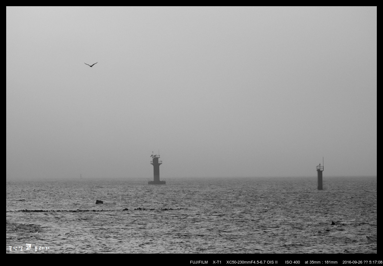 Fujifilm X-T1 + Fujifilm XC 50-230mm F4.5-6.7 OIS II sample photo. Grey afternoon photography