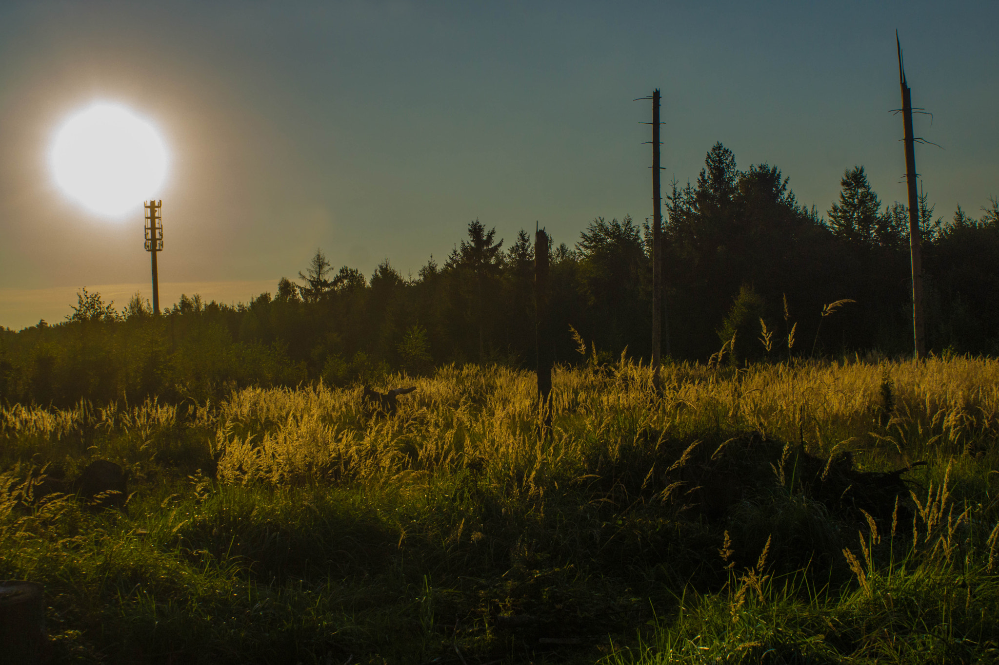 Sony DT 18-70mm F3.5-5.6 sample photo. Forstenrieder park am abend photography