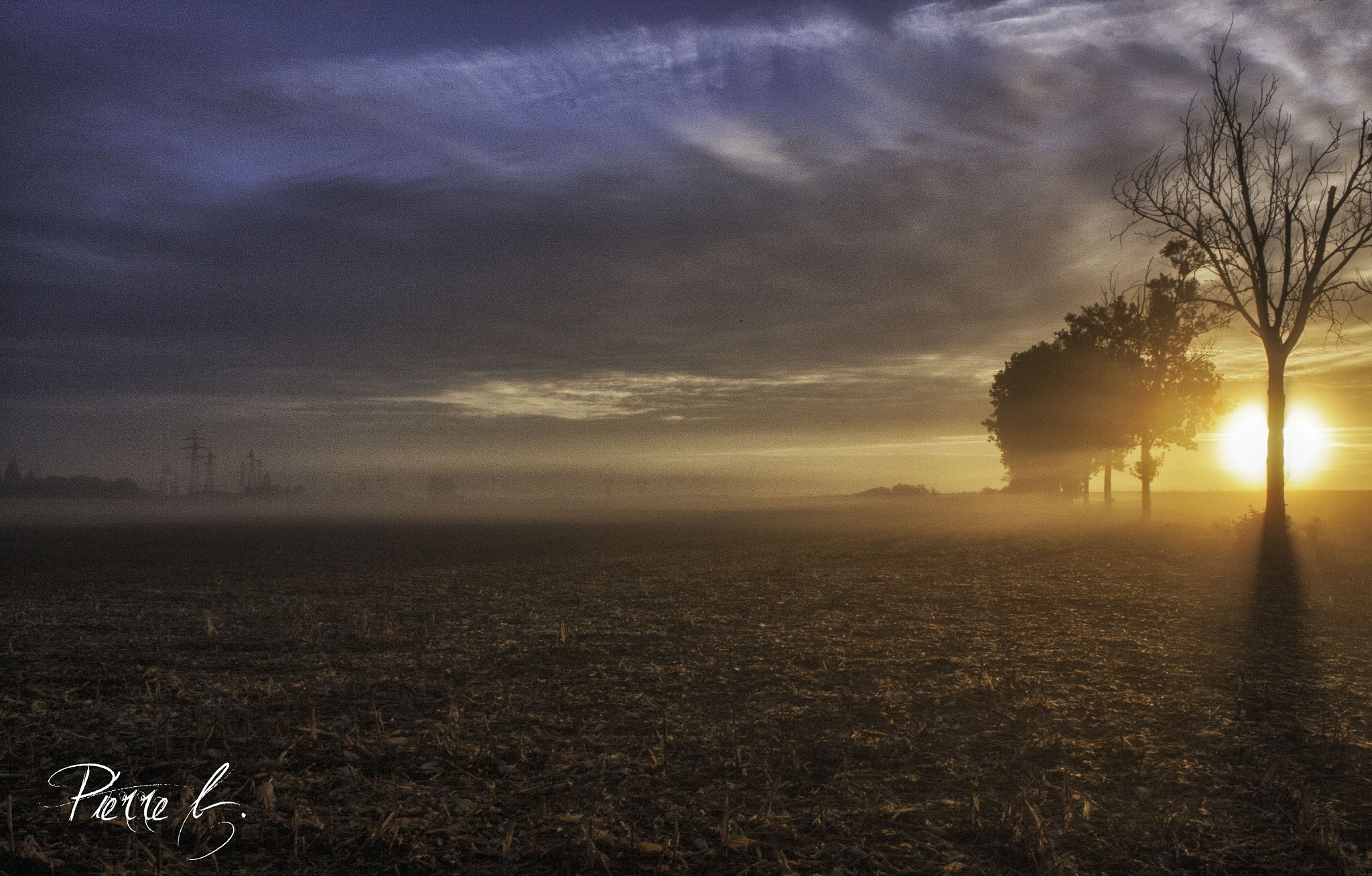 Canon EOS 50D sample photo. Sunny fog photography