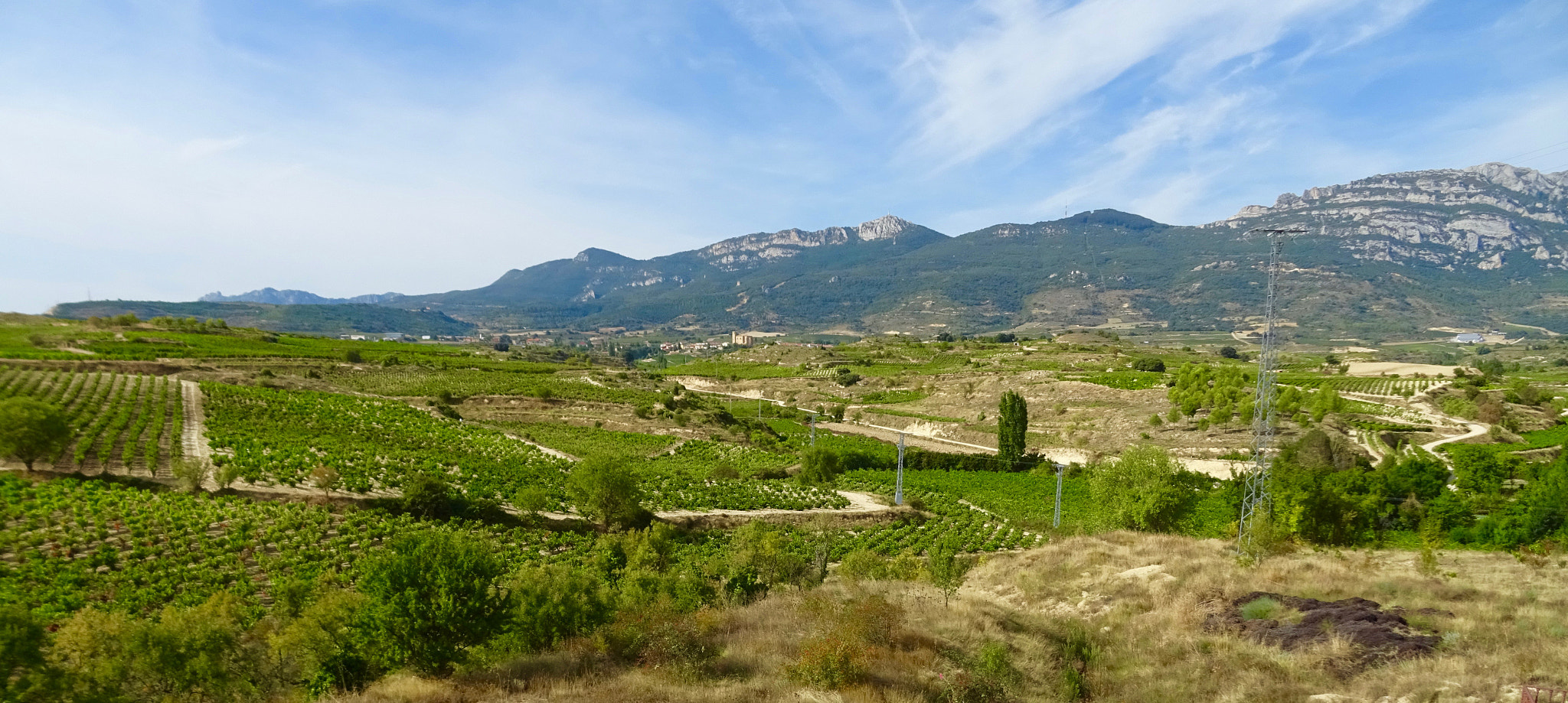 Sony 24-720mm F3.5-6.3 sample photo. La rioja alavesa, a punto para la vendimia. photography