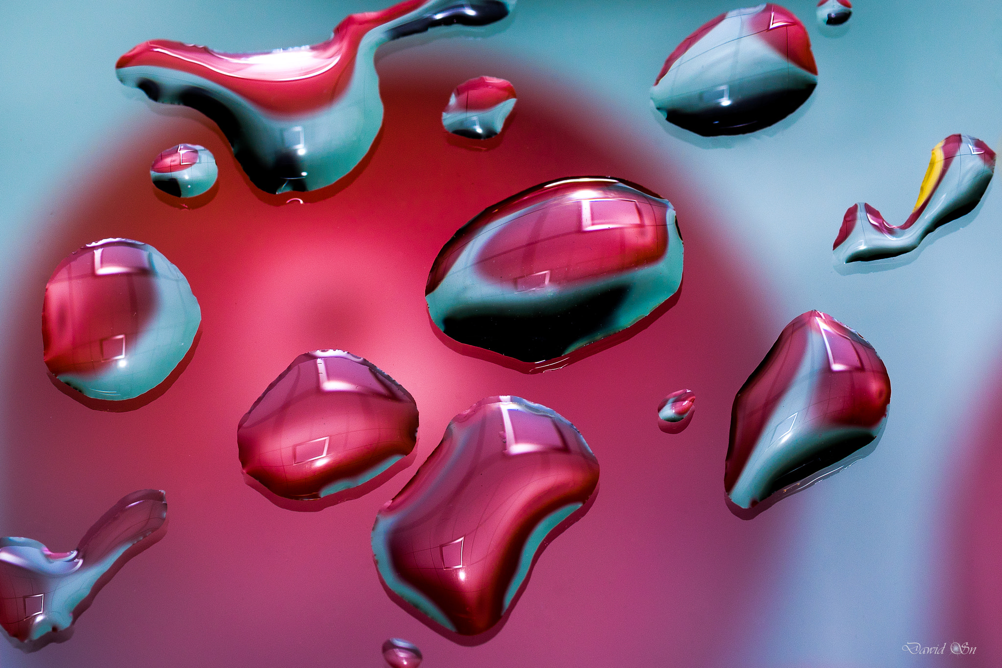 Tokina AT-X Pro 100mm F2.8 Macro sample photo. Others photography