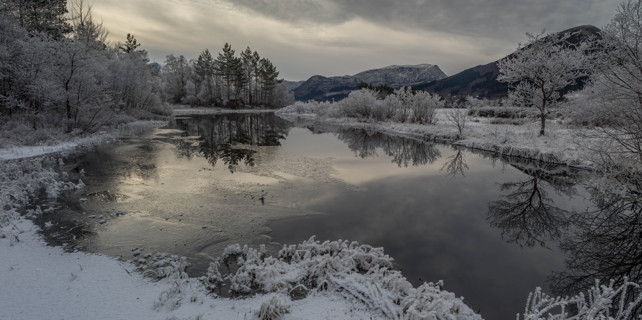 Sony a7 II + Canon TS-E 24mm f/3.5L sample photo. Frost photography