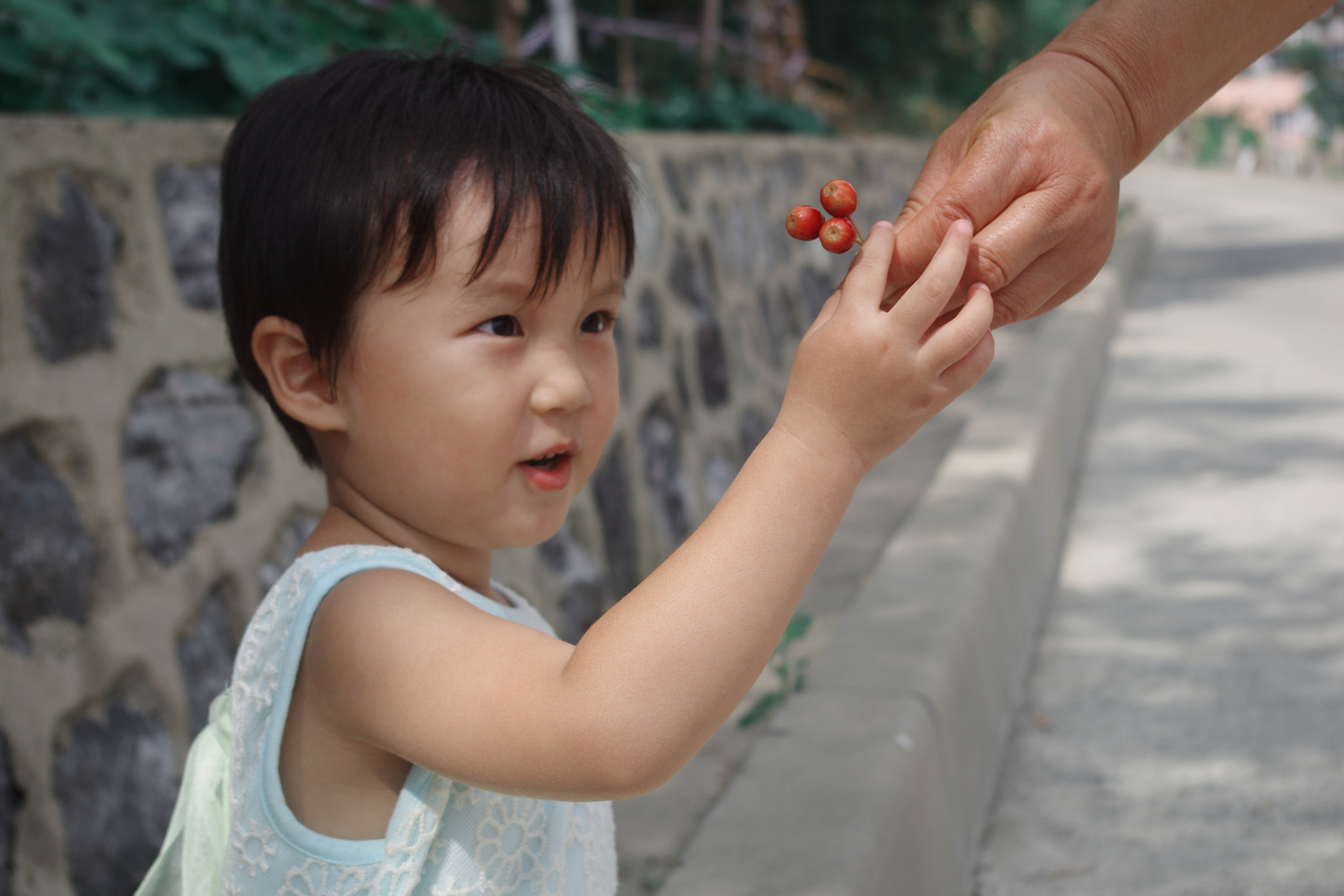 smc PENTAX-DA L 18-55mm F3.5-5.6 sample photo. Liu lu fei  da lian photography