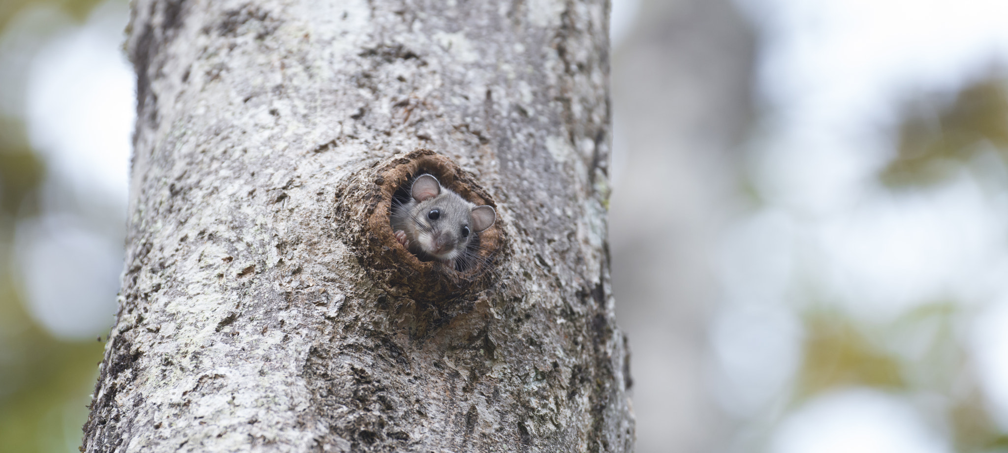 Nikon D800E sample photo. Yesterday's happiness photography