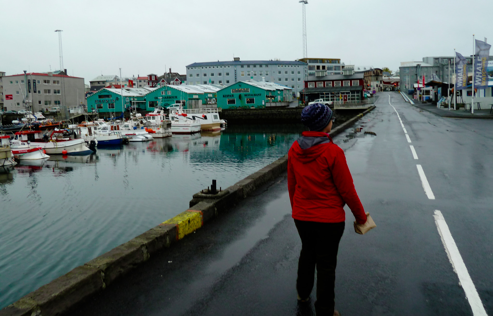 Leica V-Lux 20 sample photo. Reykjavik old harbor photography