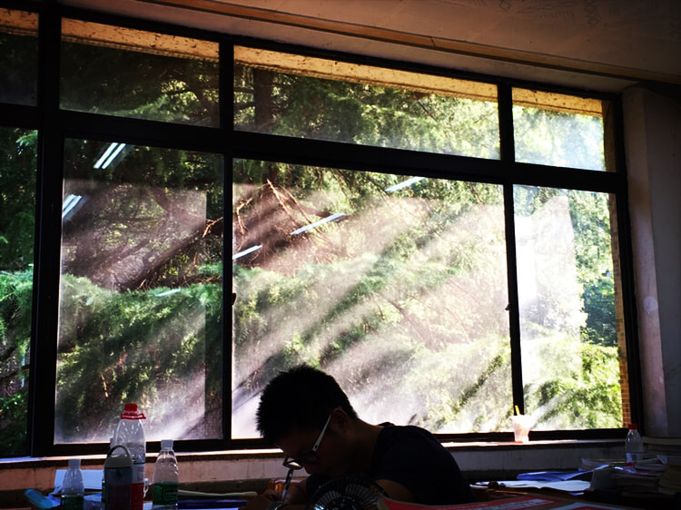 Apple iPhone8,1 sample photo. Read photography