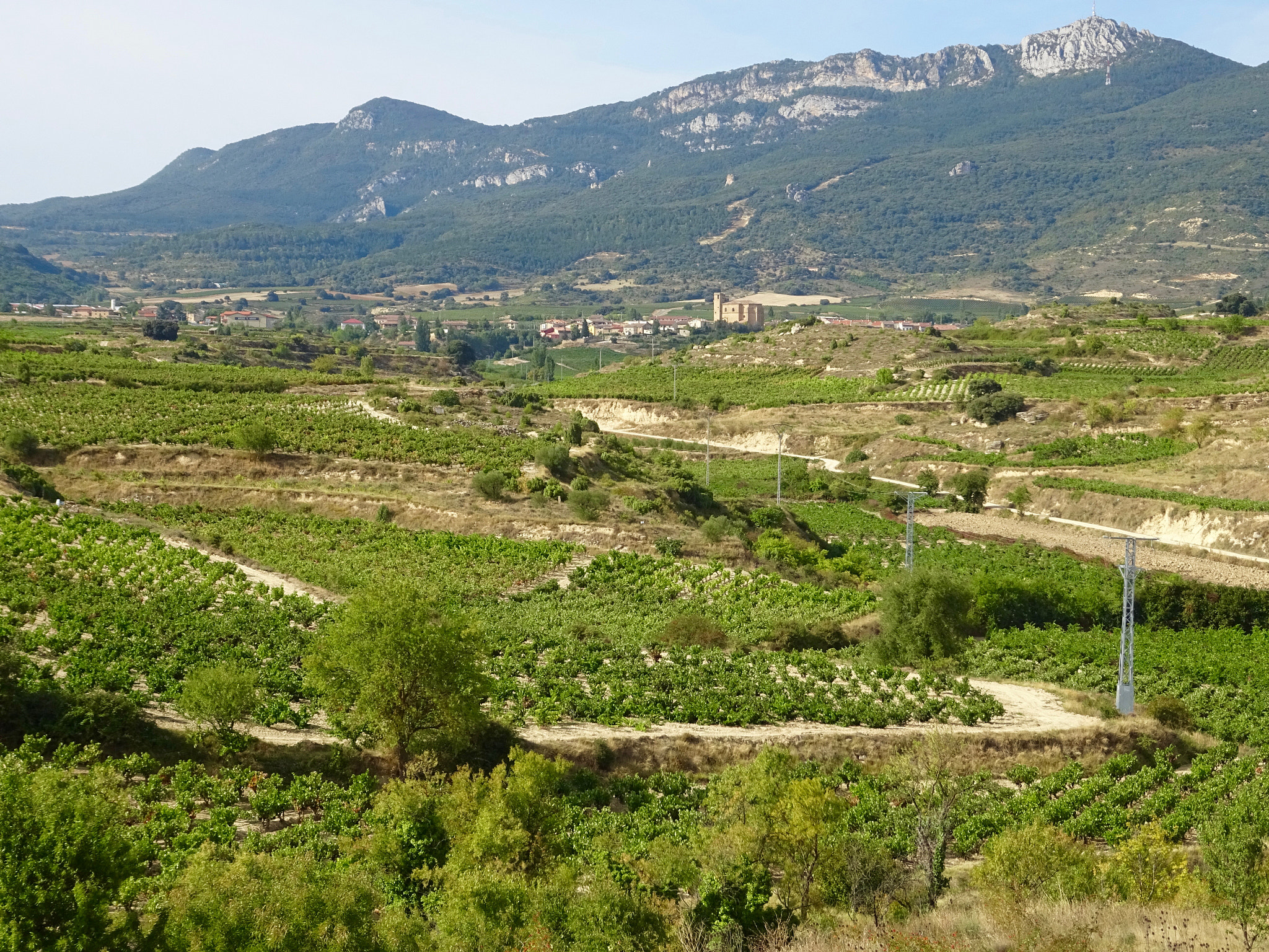 Sony DSC-HX60V + Sony 24-720mm F3.5-6.3 sample photo. Campos de samaniego y villabuena photography