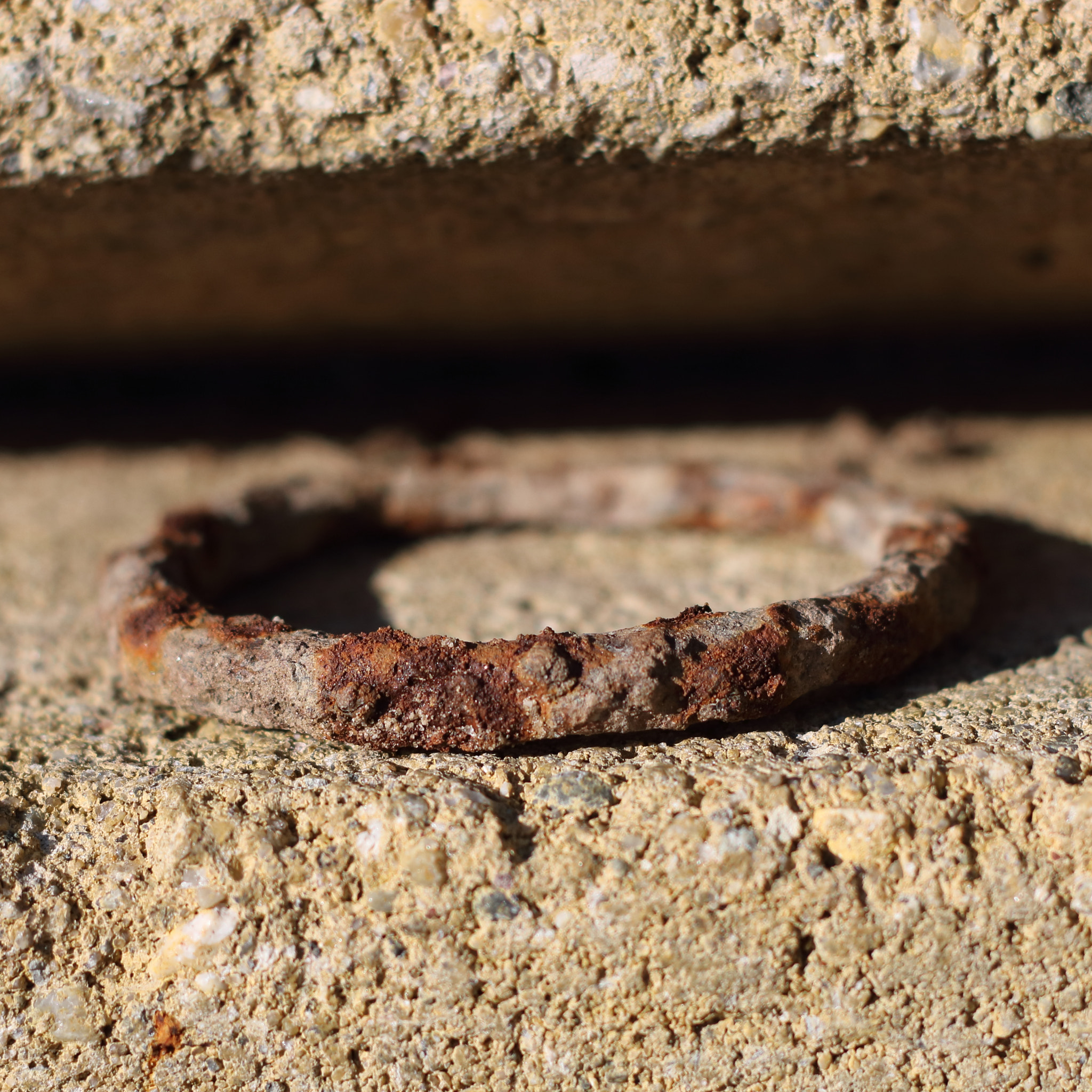Canon EOS 750D (EOS Rebel T6i / EOS Kiss X8i) + Canon EF 50mm F1.8 II sample photo. Rusty photography