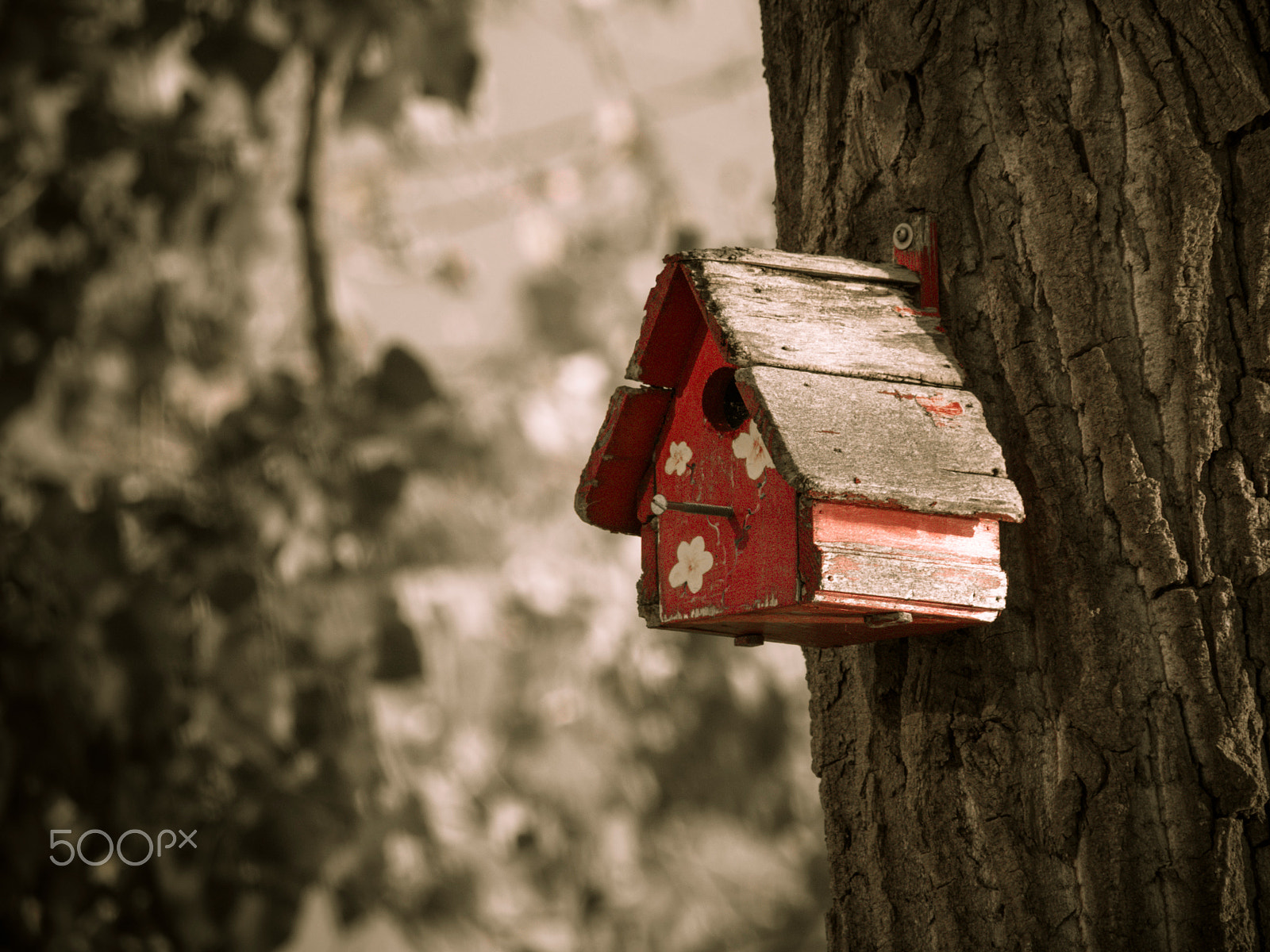 Olympus PEN E-PL5 sample photo. Little bird house on a tree photography