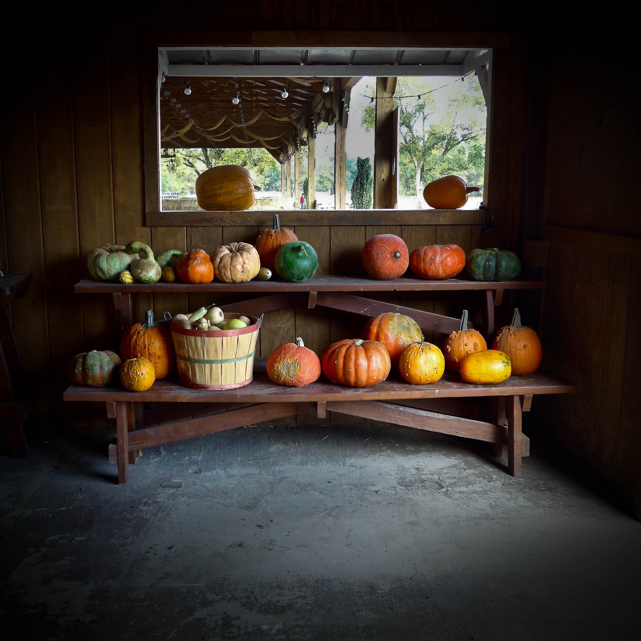 Leica C (Typ 112) sample photo. The american farm. photography