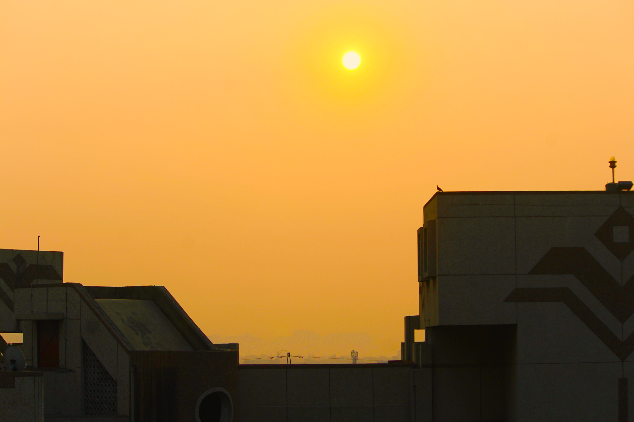 Canon EF-S 55-250mm F4-5.6 IS II sample photo. Sunshine photography