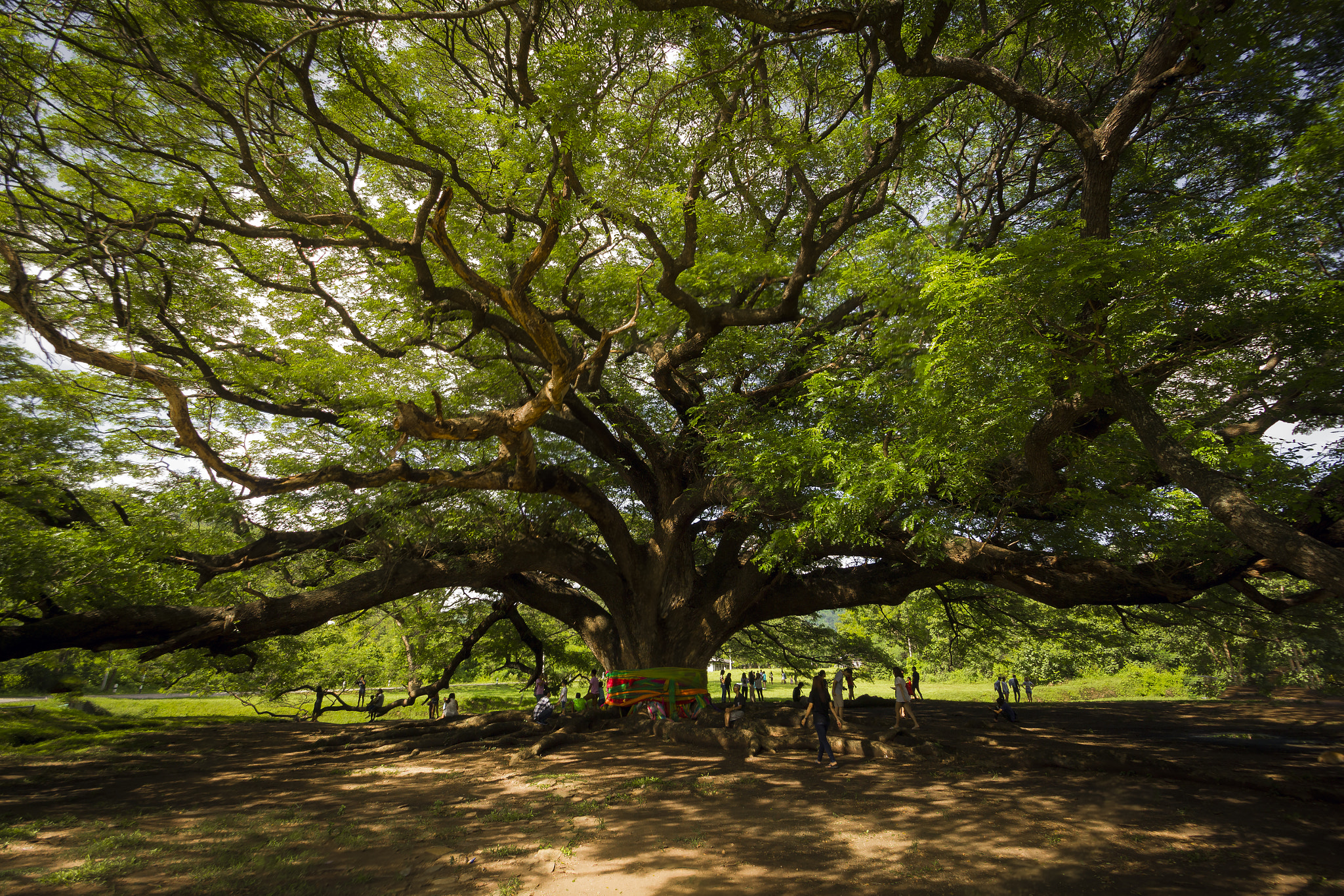 Sigma 10-20mm F3.5 EX DC HSM sample photo. Hdr photography