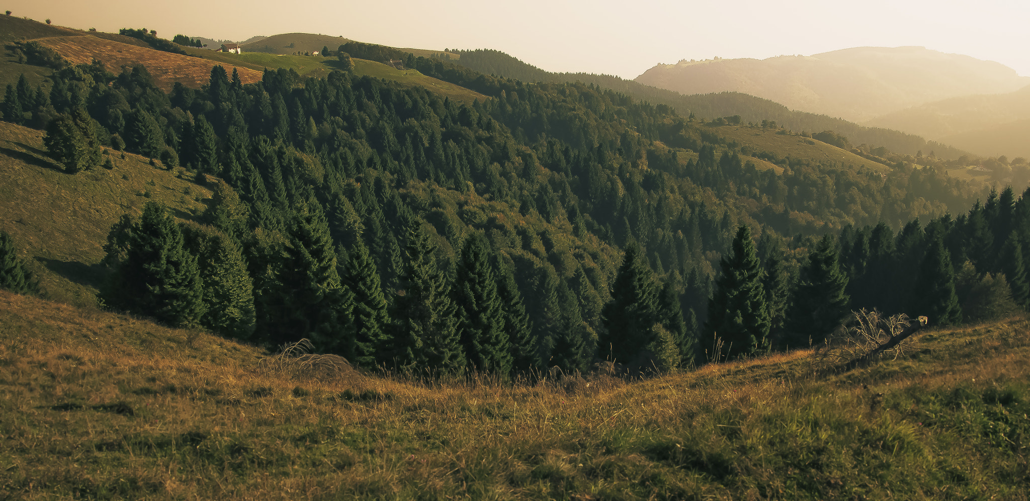 Olympus OM-D E-M5 sample photo. Hiking in monte asolone photography