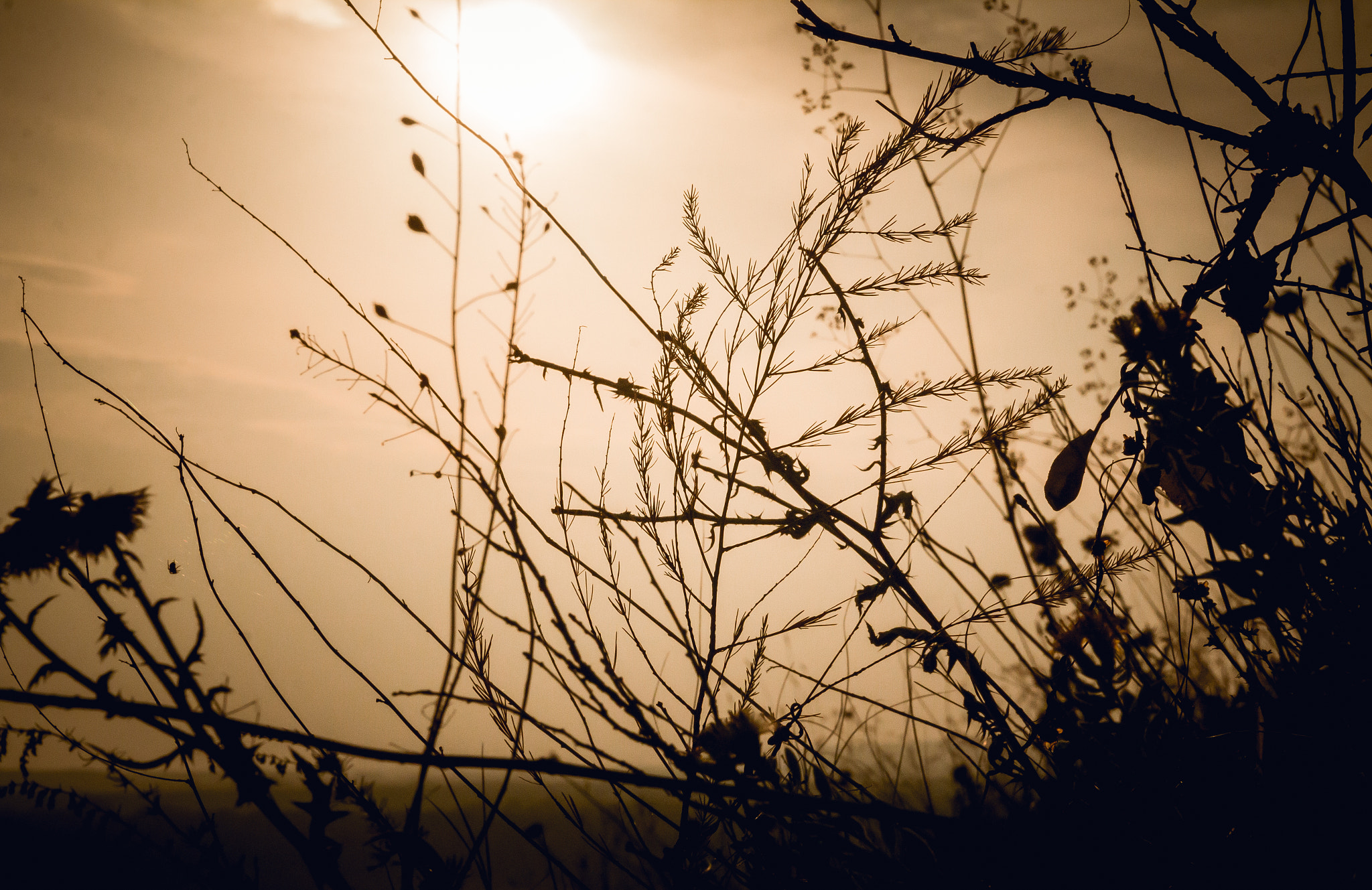 Sigma 17-70mm F2.8-4 DC Macro OS HSM sample photo. Sunset on the mountain photography